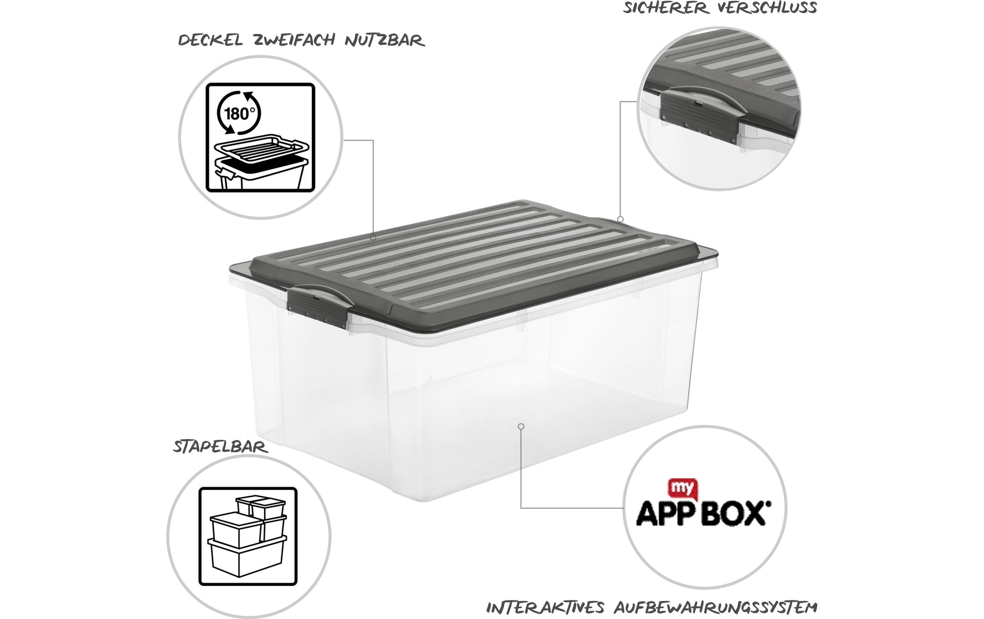 Rotho Aufbewahrungsbox – Kunststoff, Transparent, 40 × 18 × 57 cm – 3er-Pack