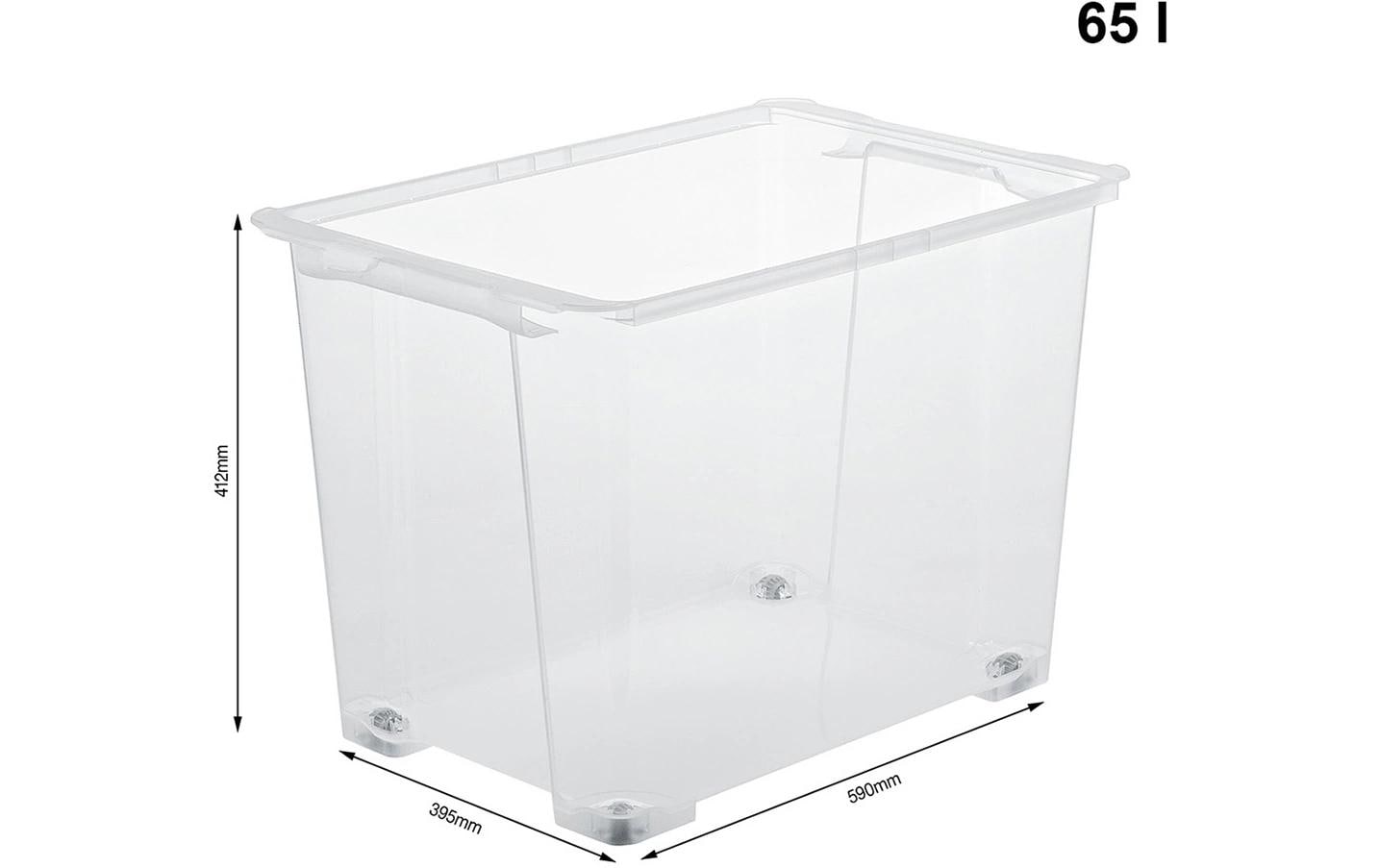 Rotho Aufbewahrungsbox – Polypropylen (PP), transparent, 42,5 × 38,8 × 29,5 cm – 3er-Pack