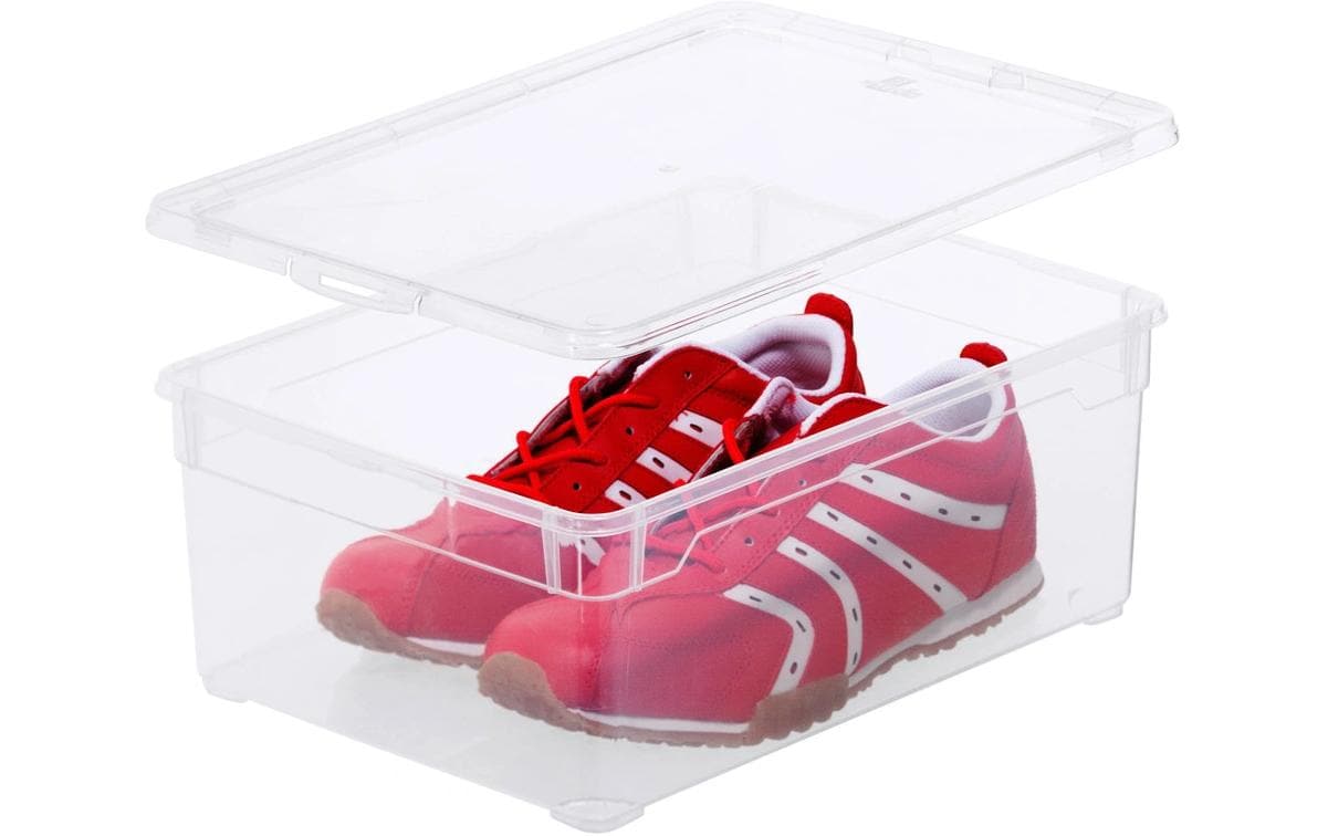 Rotho Aufbewahrungsbox 10 l (mit Deckel) – Kunststoff – Transparent – 3-teiliges Set – 265 × 140 × 365 mm