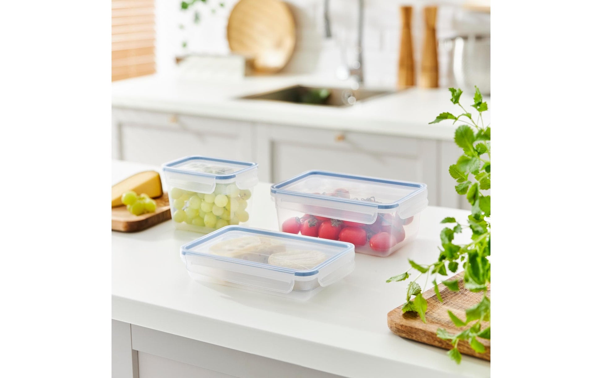 Rotho Kühlschrankdose Clic & Lock – 1 l – rechteckig – 23,9 × 5 × 16 cm – Kunststoff – transparent