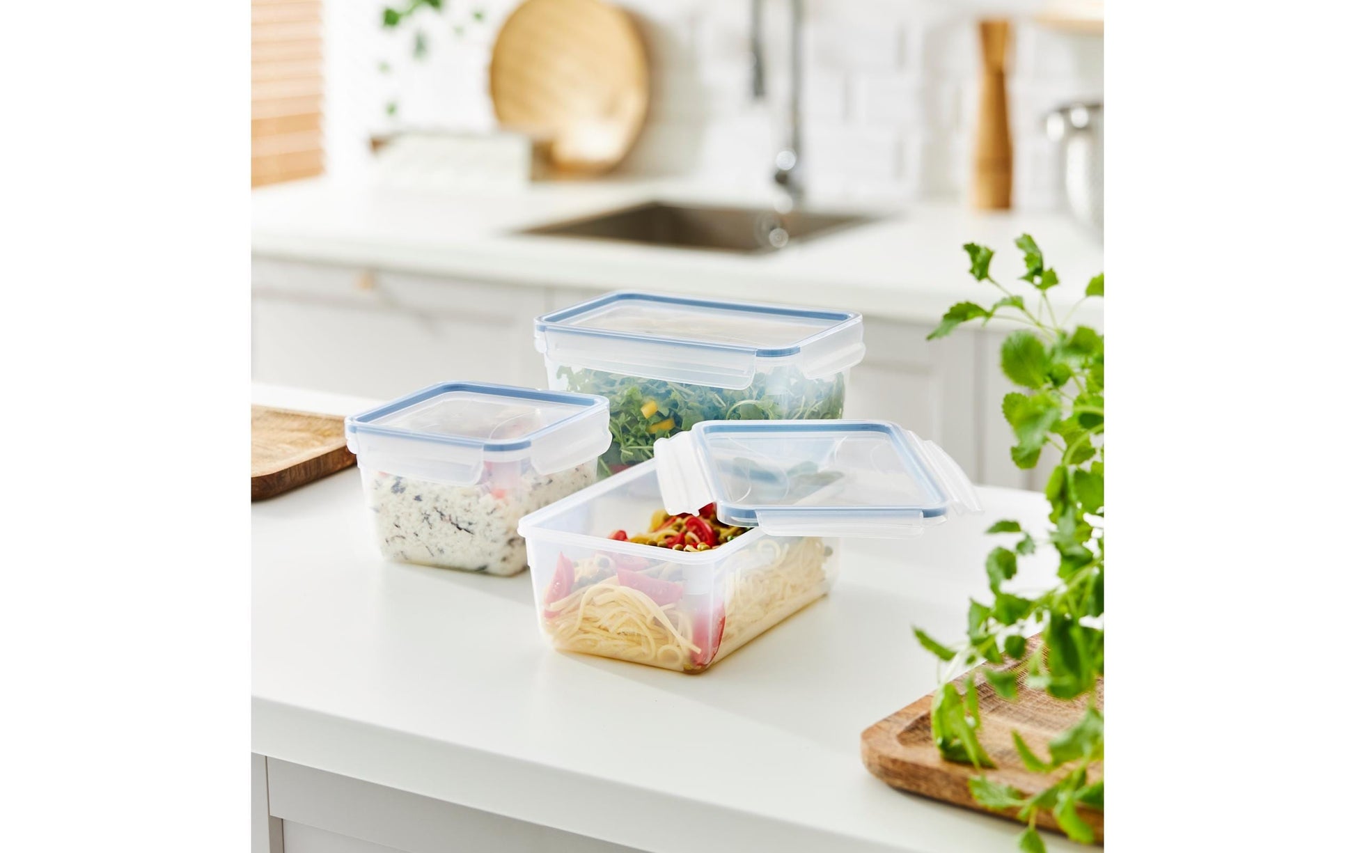 Rotho Kühlschrankdose Clic & Lock – 2 l – rechteckig – 23,9 × 9,2 × 16 cm – PP – transparent