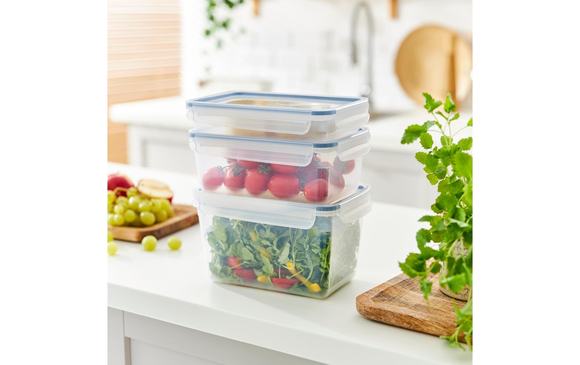 Rotho Kühlschrankdose Clic & Lock – 3 l – rechteckig – 23,9 × 13,6 × 16 cm – Kunststoff – transparent