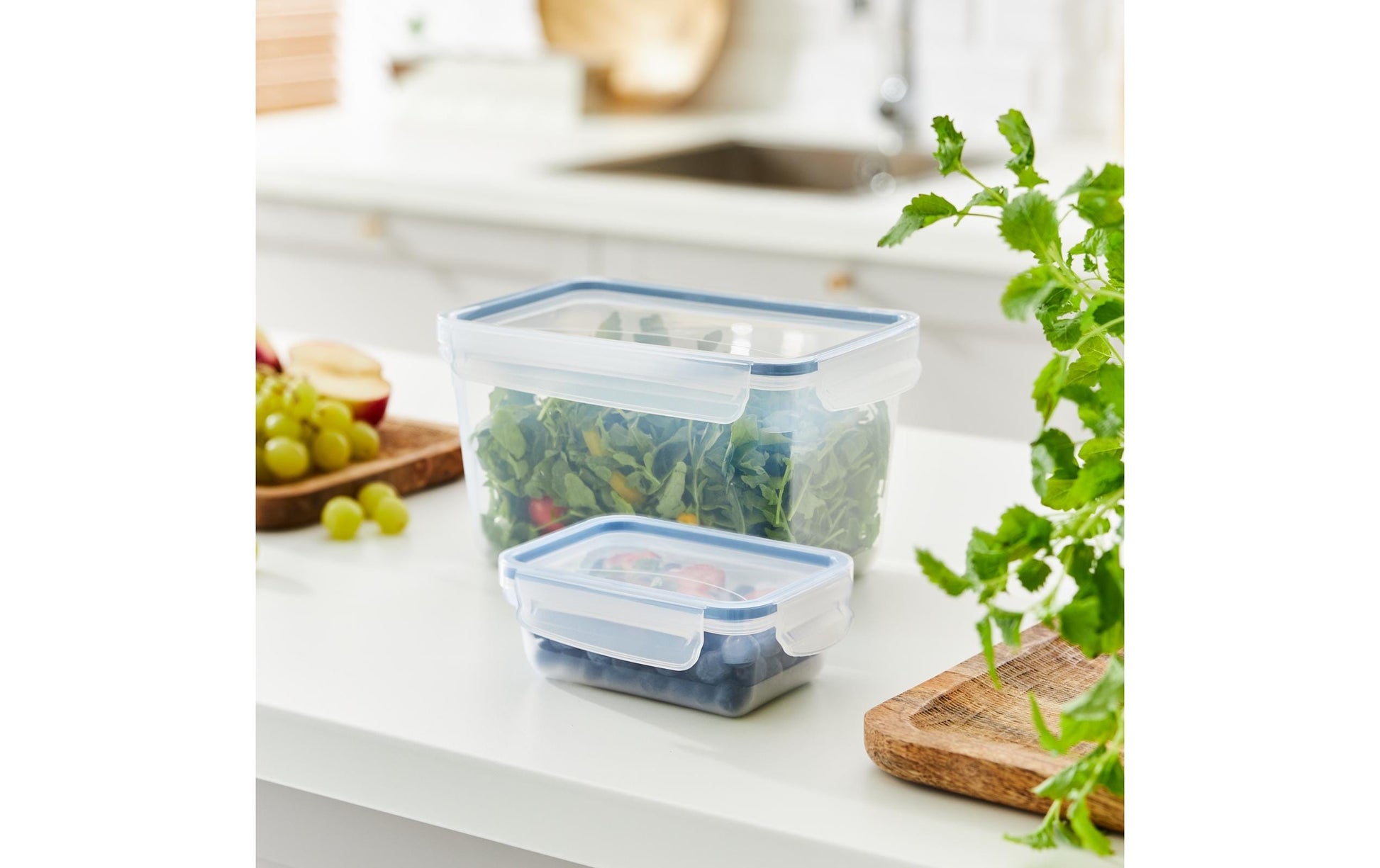 Rotho Kühlschrankdose Clic & Lock – 3 l – rechteckig – 23,9 × 13,6 × 16 cm – Kunststoff – transparent