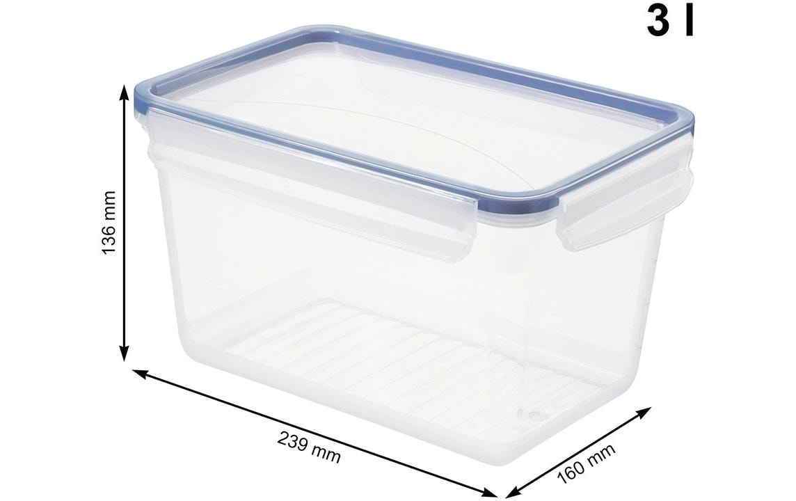 Rotho Kühlschrankdose Clic & Lock – 3 l – rechteckig – 23,9 × 13,6 × 16 cm – Kunststoff – transparent
