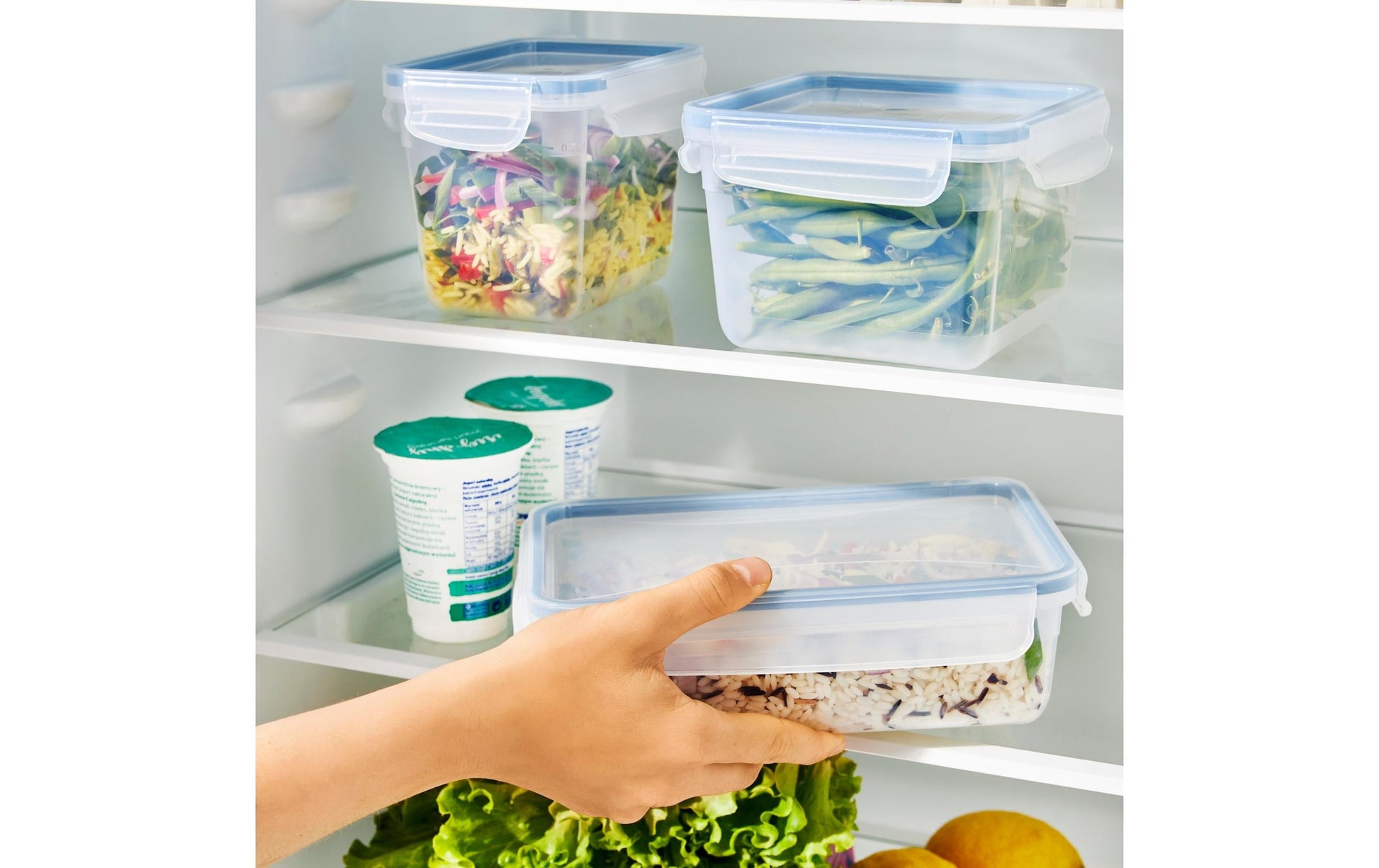 Rotho Kühlschrankdose Clic & Lock – 1,5 l – rechteckig – 23,9 × 7,1 × 16 cm – PP – transparent