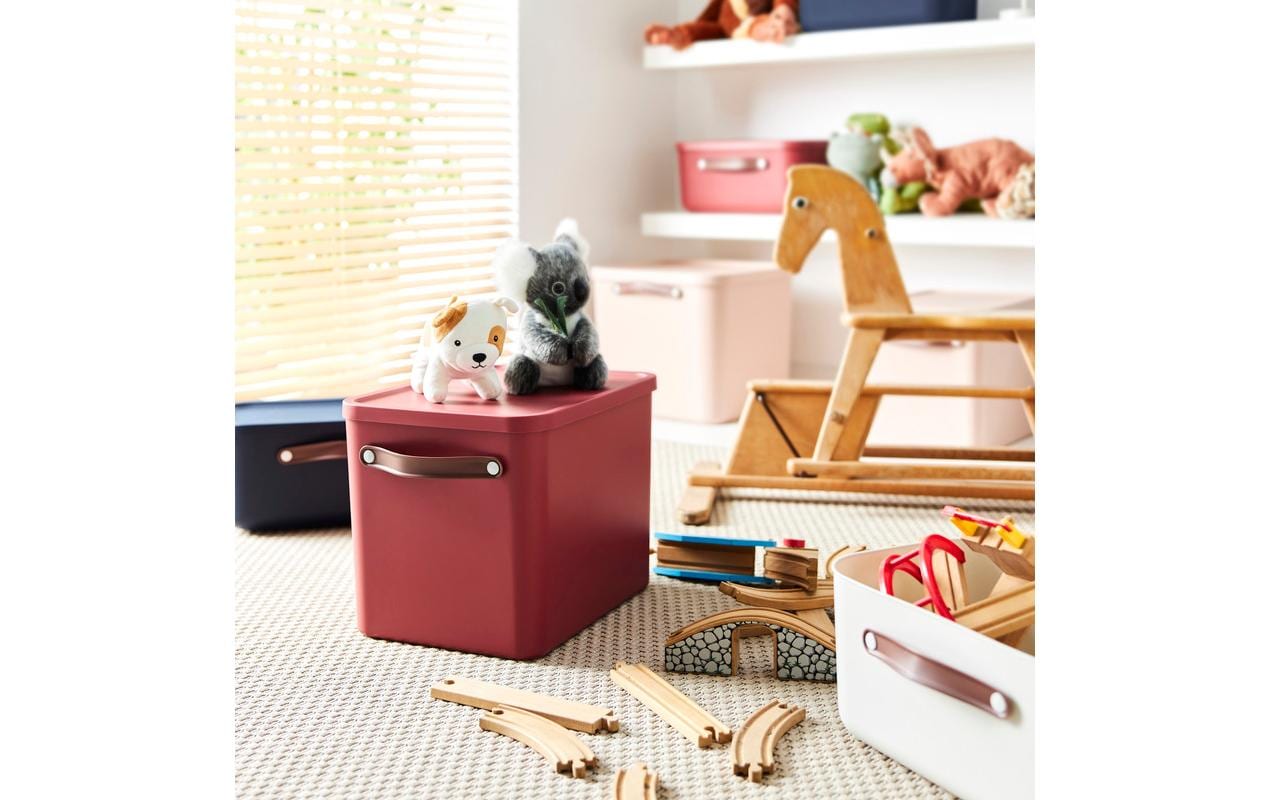 Rotho MALOJA Aufbewahrungsbox 27 l (mit Deckel) – Kunststoff – Dunkelbraun (mit Griff) – 290 × 295 × 400 mm