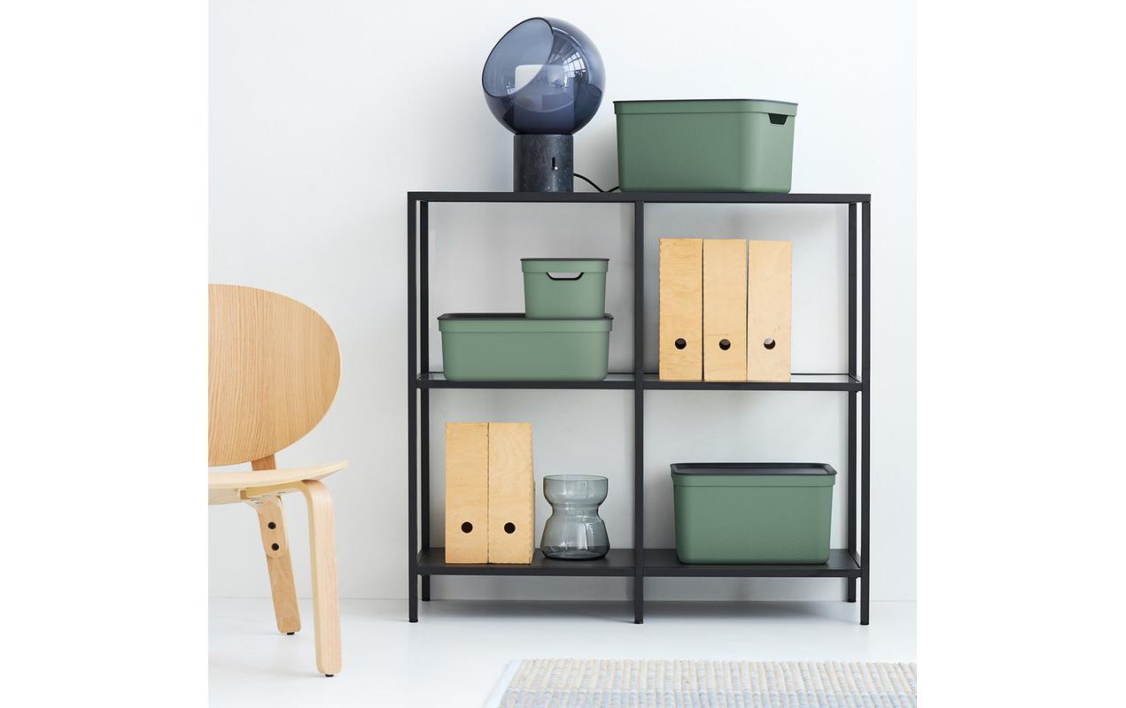 Rotho Aufbewahrungsbox 13 l (mit Deckel) – Kunststoff – Grün – für A4 – mit Griff – 278 × 130 × 375 mm