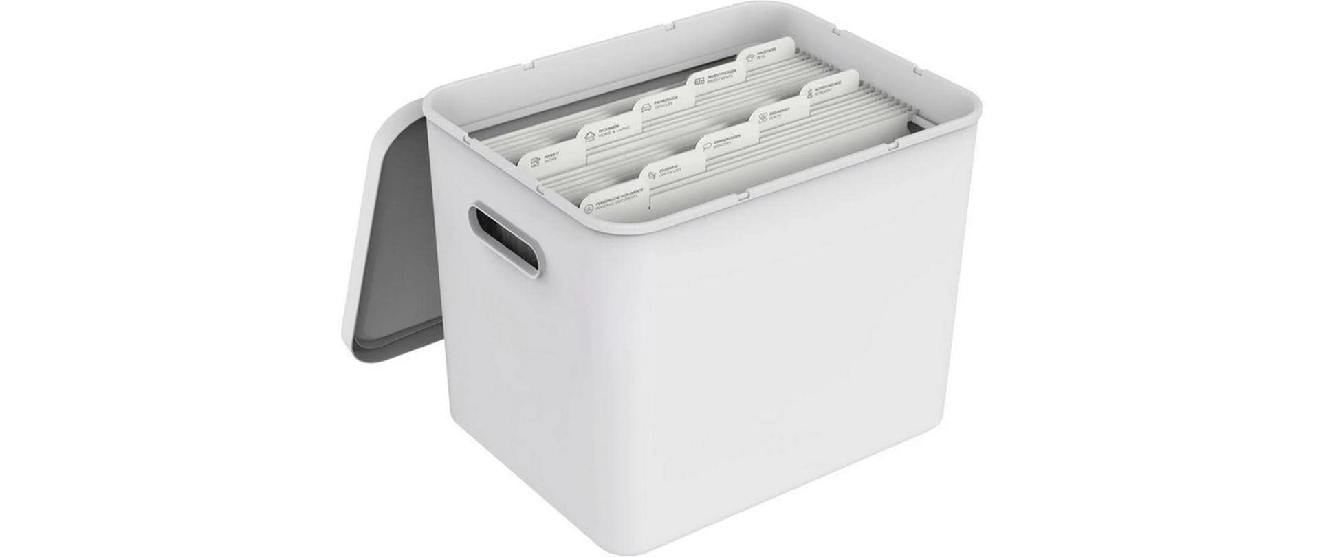 Rotho Hängeordner für A4 – Karton, Grau, 360 × 270 mm, ohne Vordruck