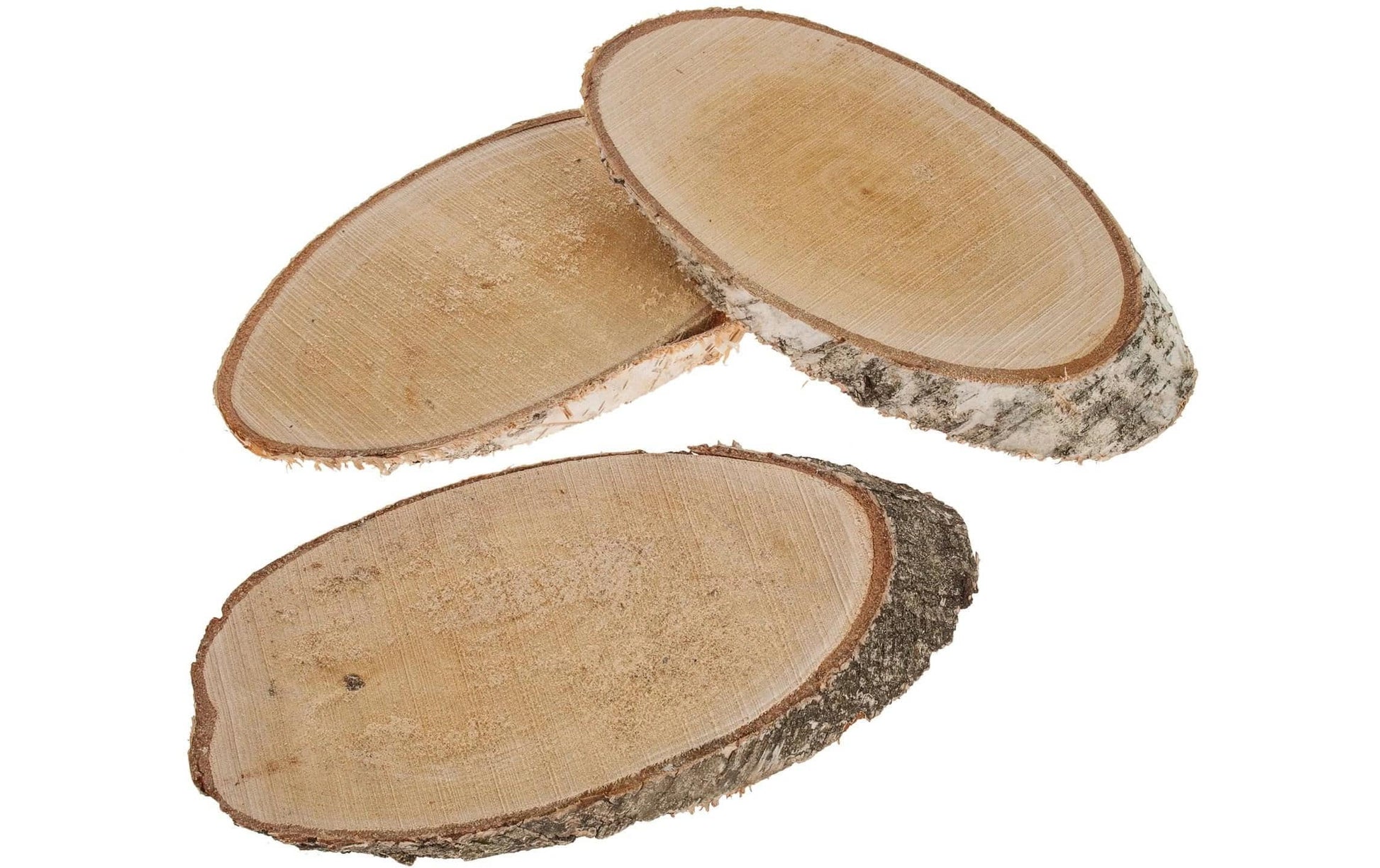 Opiflor Holzscheiben, Birke, Braun, 28 × 2 cm, 10 Stk., oval