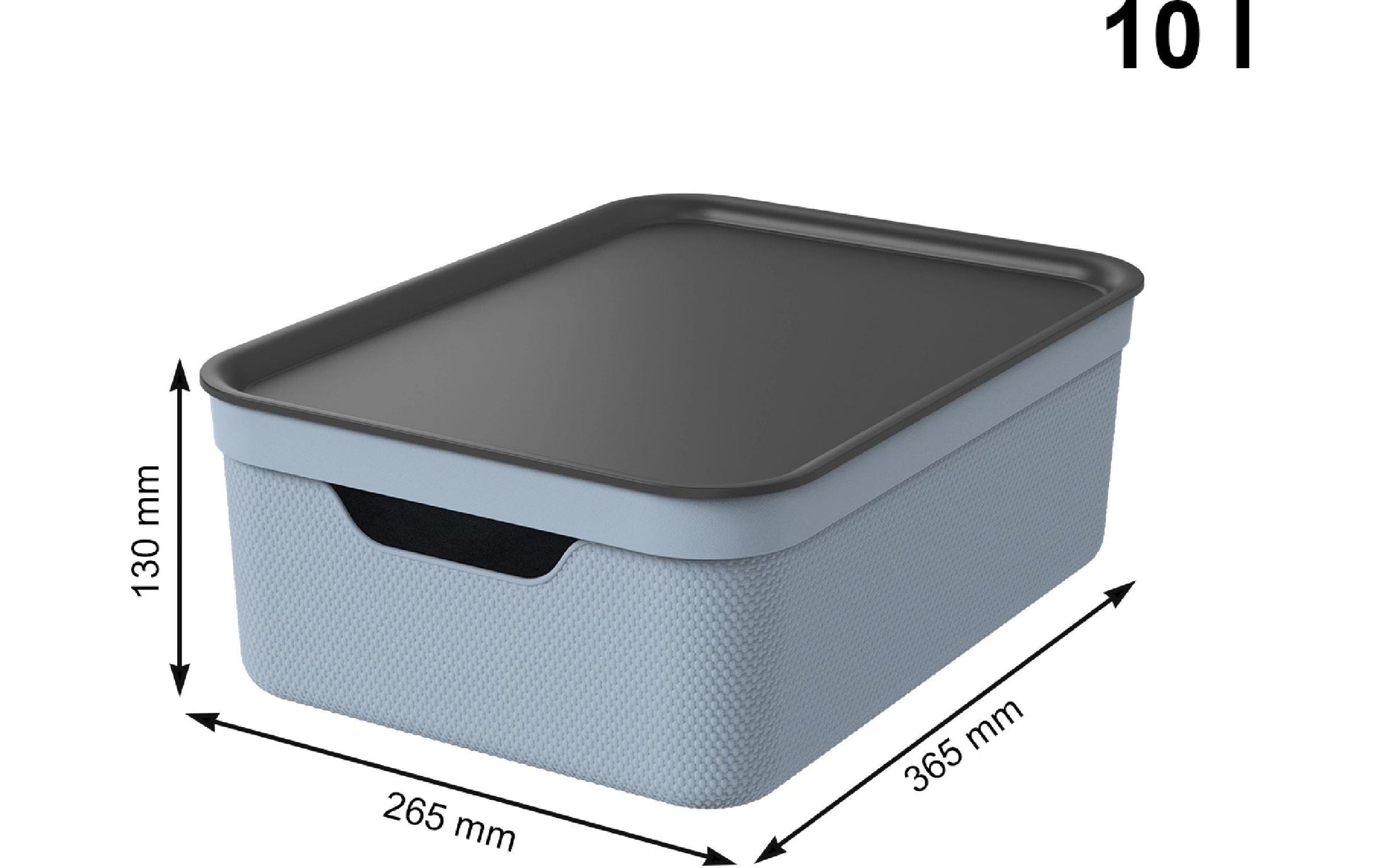 Rotho Aufbewahrungsbox 13 l (mit Deckel) – Kunststoff – Taubenblau – für A4 – stapelbar – 278 × 130 × 375 mm