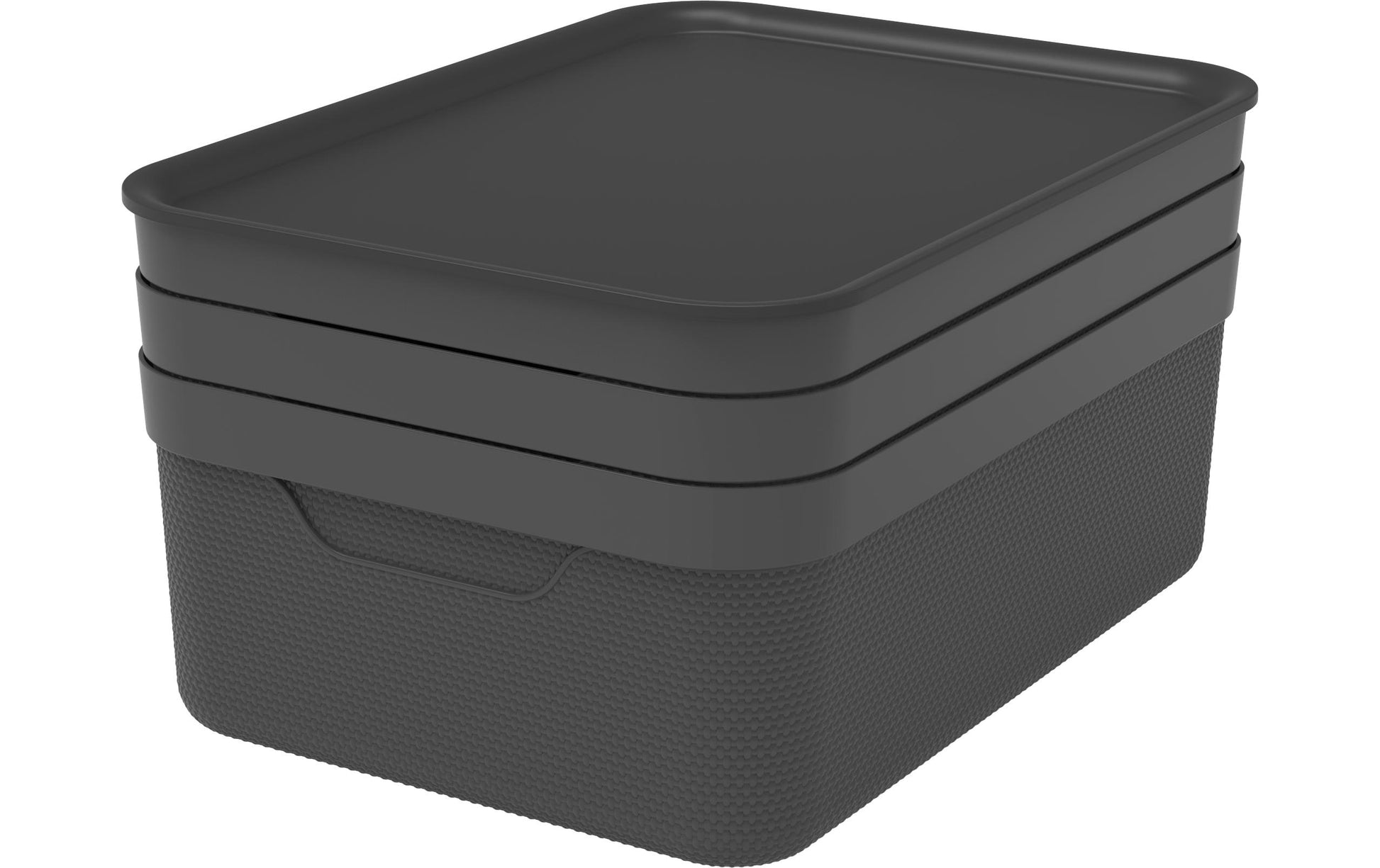 Rotho Aufbewahrungsbox 13 l (mit Deckel) – Kunststoff – schwarz – für A4 – 278 × 130 × 375 mm – 3 Stück