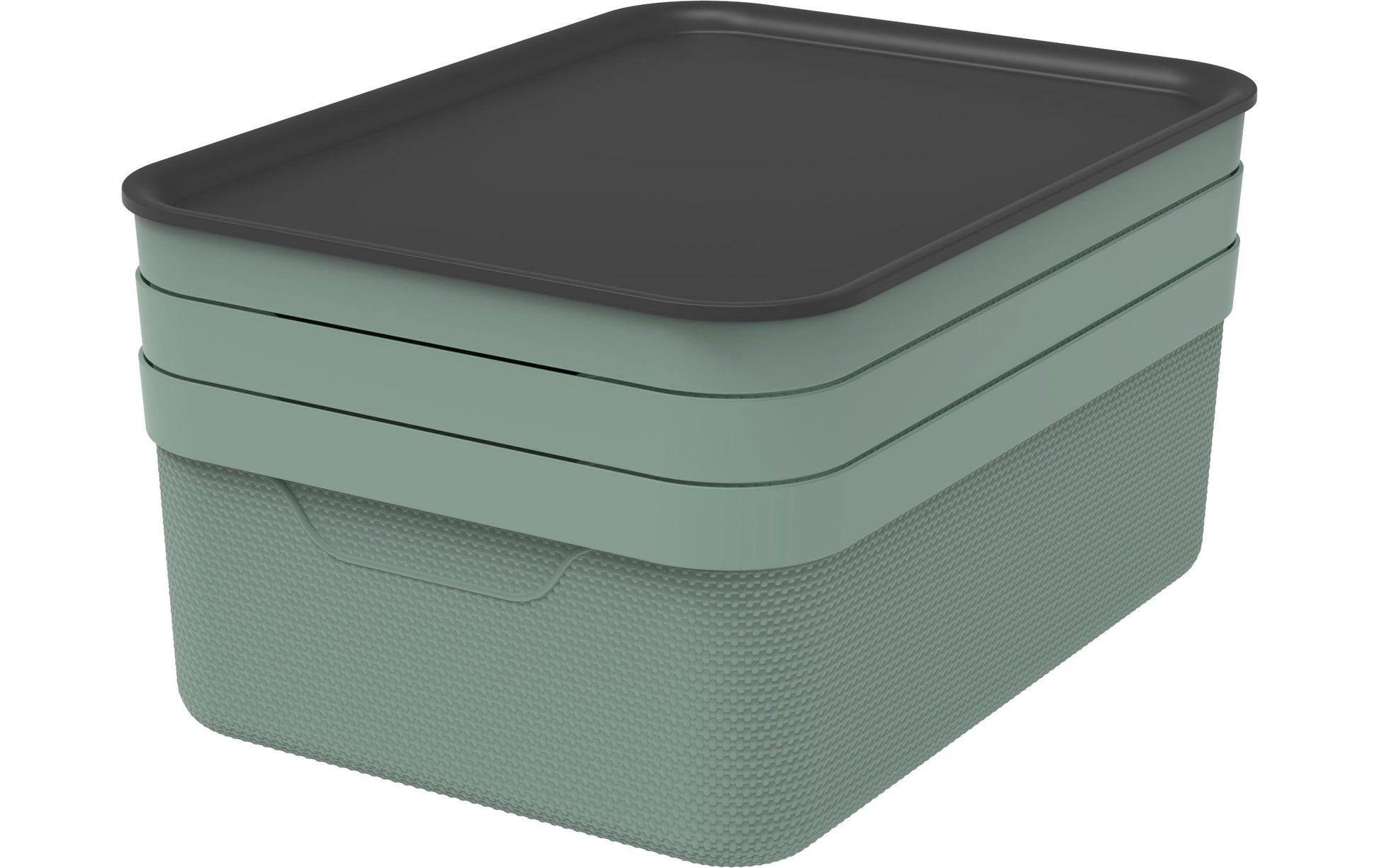 Rotho Aufbewahrungsbox 13 l (mit Deckel) – Kunststoff – Grün – für A4 – mit Griff – 278 × 130 × 375 mm