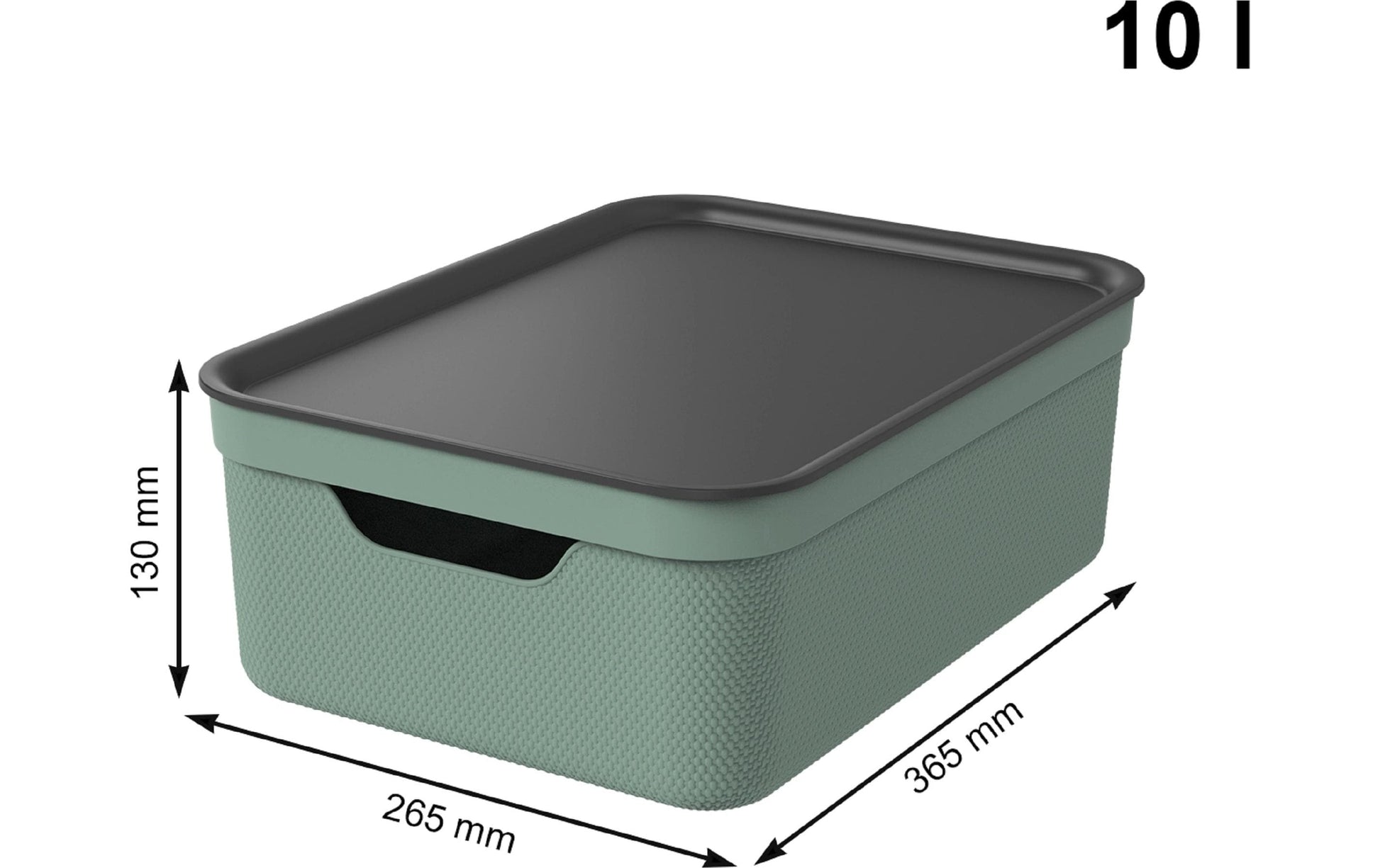 Rotho Aufbewahrungsbox 13 l (mit Deckel) – Kunststoff – Grün – für A4 – mit Griff – 278 × 130 × 375 mm
