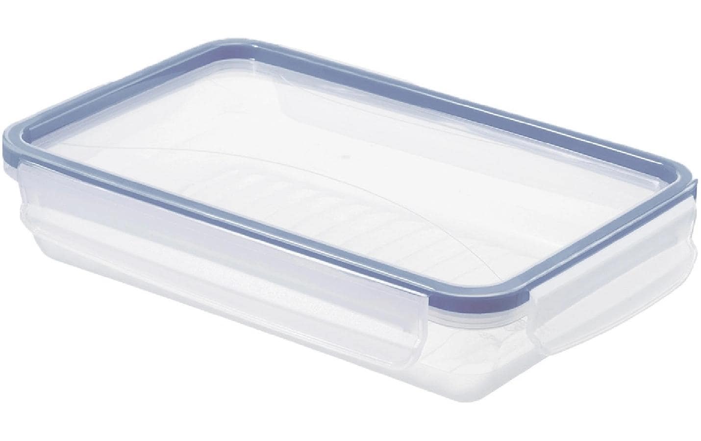 Rotho Kühlschrankdose Clic & Lock – 1 l – rechteckig – 23,9 × 5 × 16 cm – Kunststoff – transparent