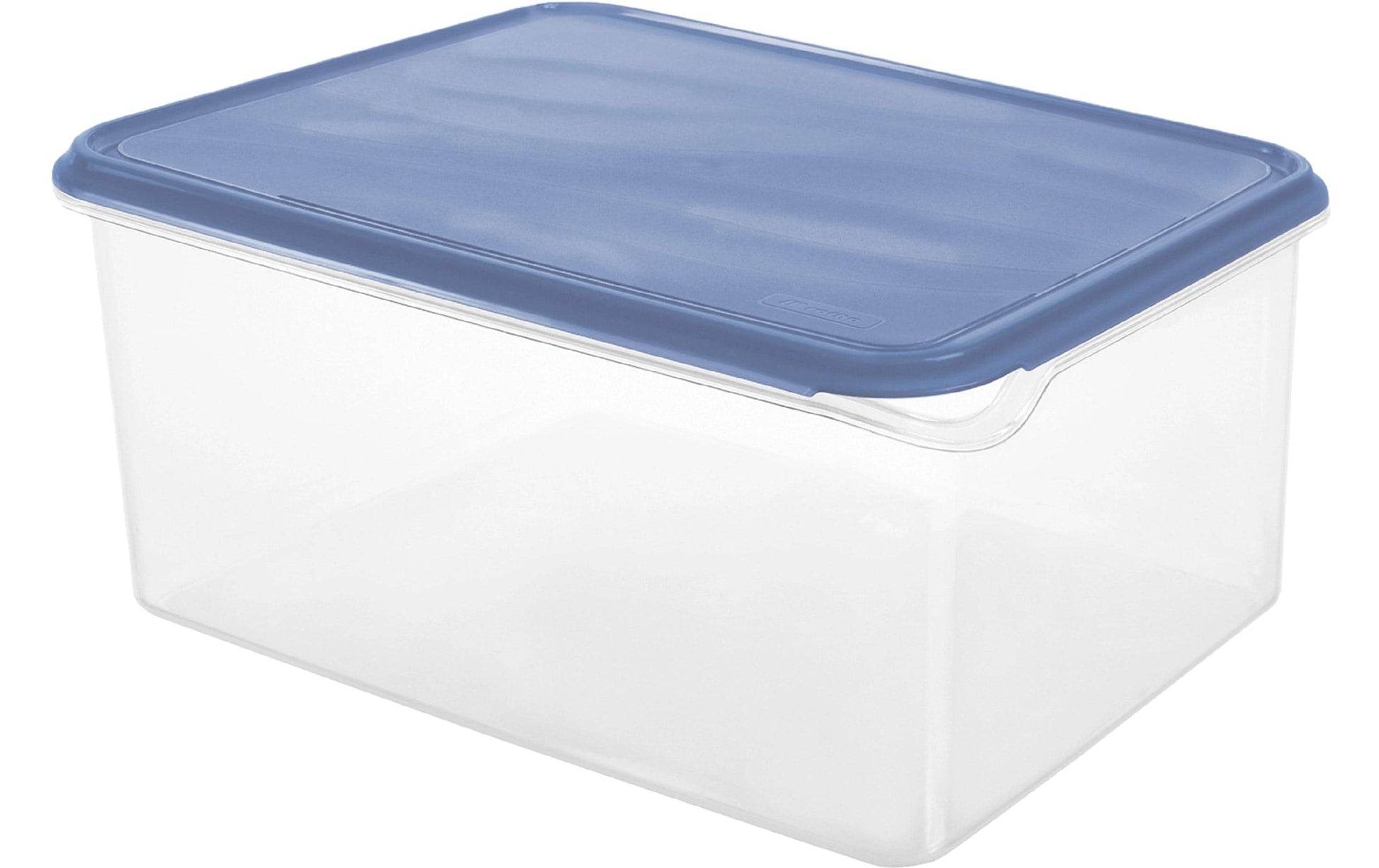 Rotho Kühlschrankdose RONDO – 8 l, 24,0 × 31,5 × 14,5 cm, Kunststoff, mit Deckel, auslaufsicher