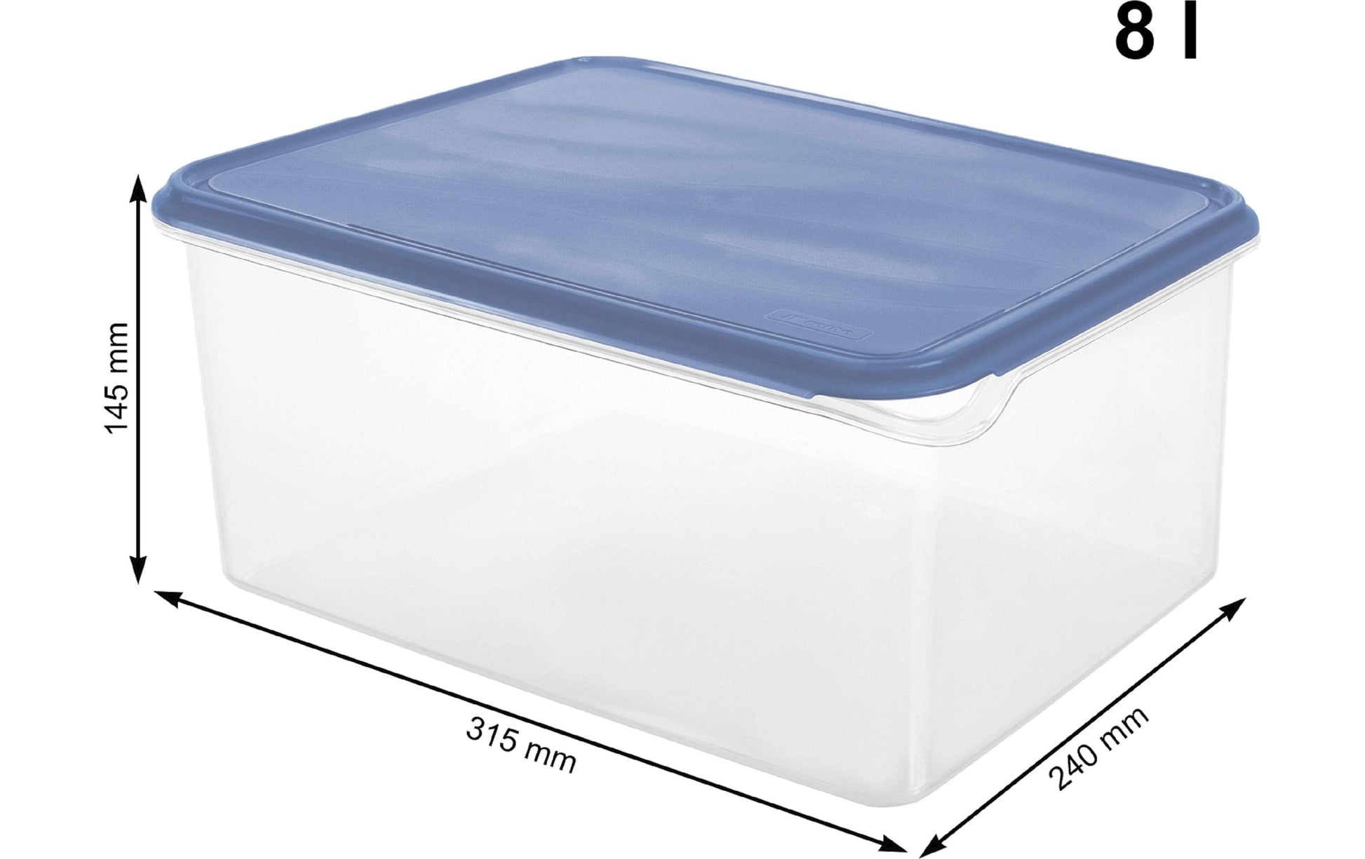 Rotho Kühlschrankdose RONDO – 8 l, 24,0 × 31,5 × 14,5 cm, Kunststoff, mit Deckel, auslaufsicher