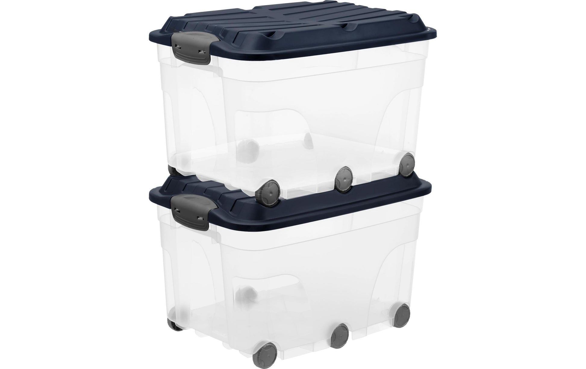 Rotho Aufbewahrungsbox – ROLLER6, 40 cm, Blau, Transparent
