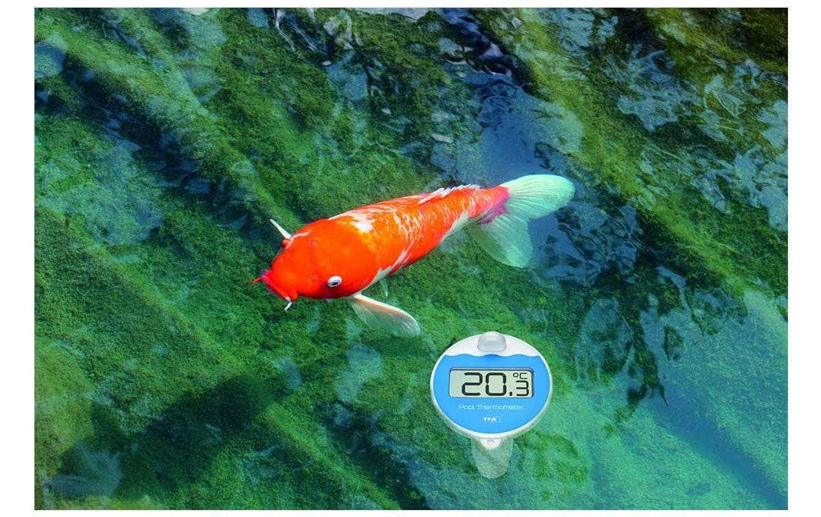 TFA-Dostmann TFA Dostmann MARBELLA – Funk-Poolthermometer, Reichweite 100 m – Schwarz