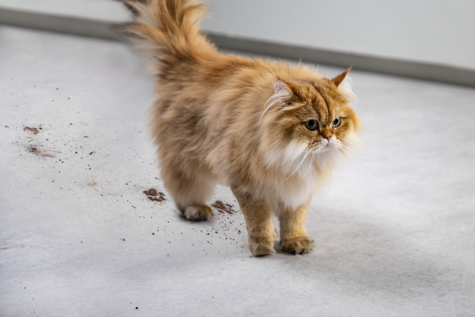 Rowenta Stabstaubsauger X-Clean 4 – 200 W, Akkubetrieb, 3 Stufen, 30,5 × 31,5 × 114,7 cm