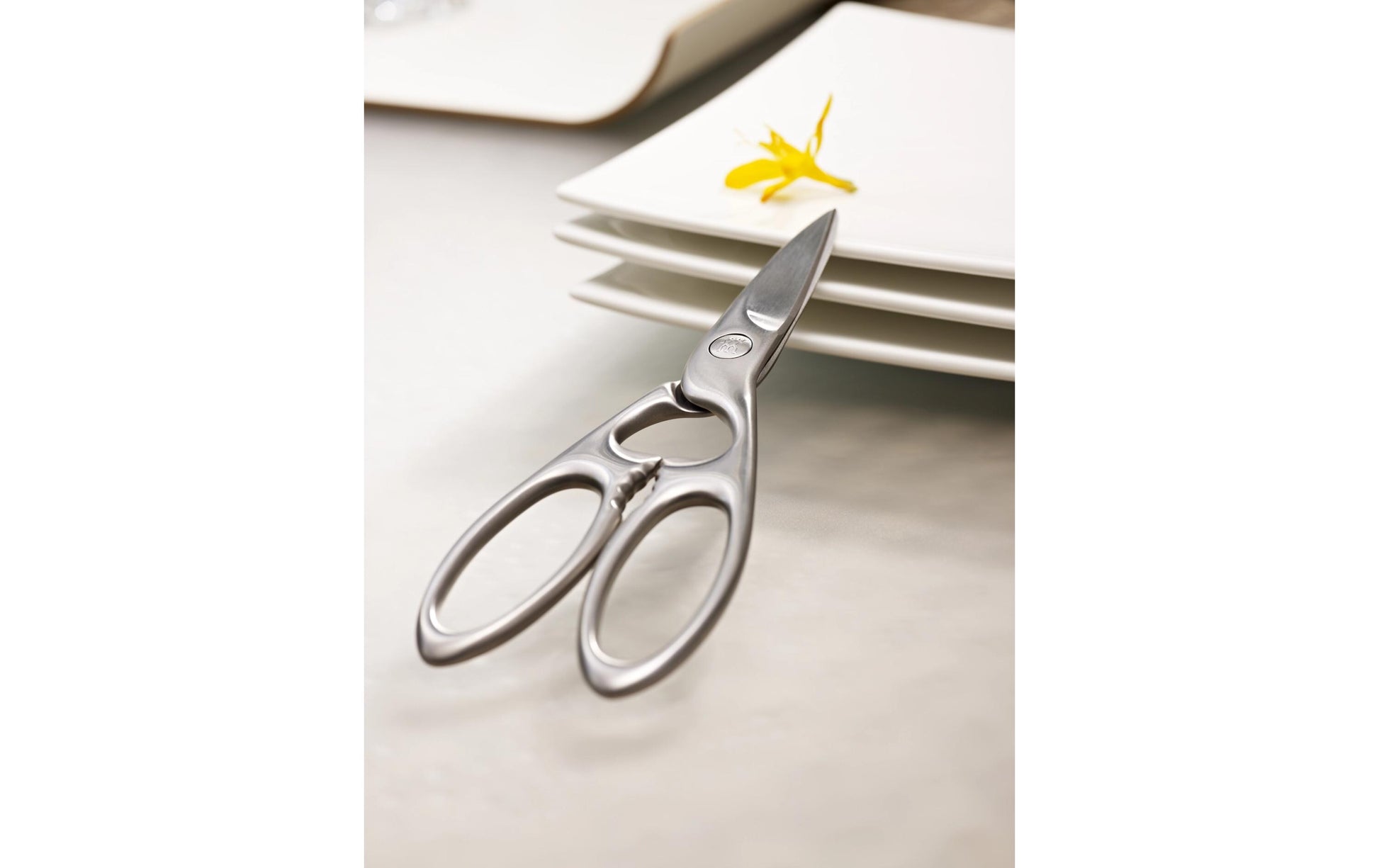 ZWILLING Küchenschere 20 cm, Edelstahl, Silber