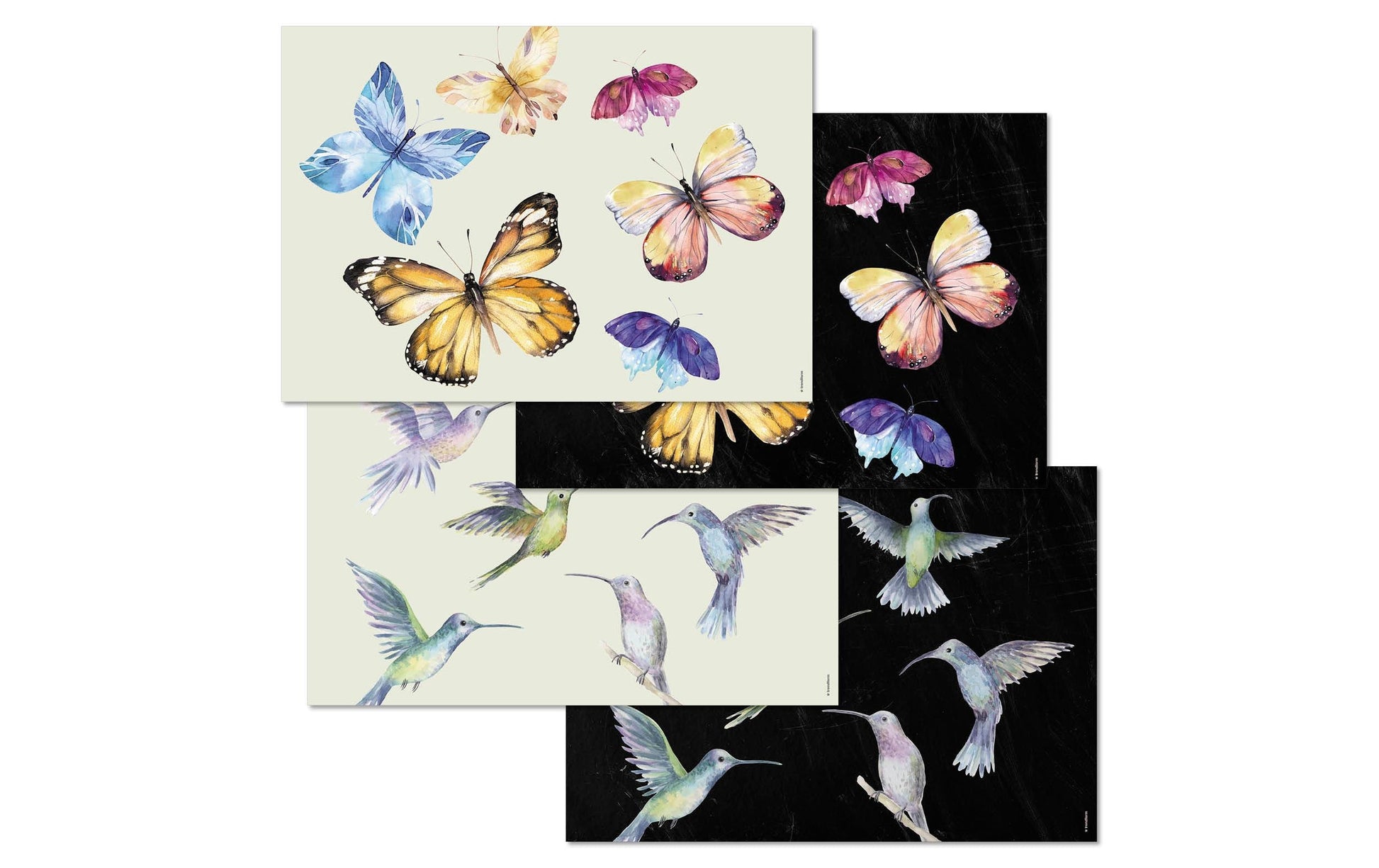 Trendform Tischset Fly Away – Papier, Schmetterlingsmotiv, 42 × 29,7 cm – 48 Stk.
