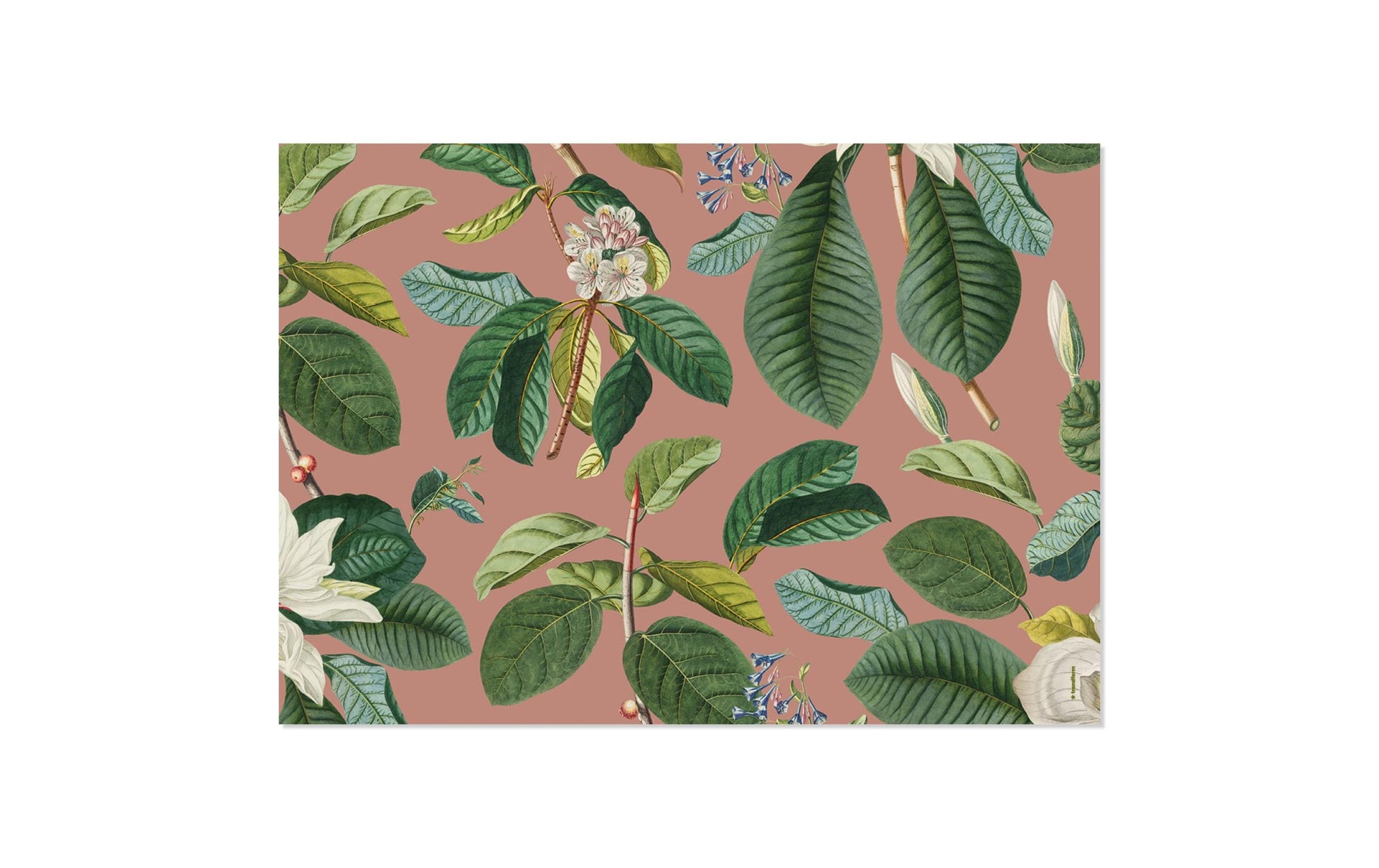 Trendform Tischset Magnolia, Papier, Rechteckig – 42 × 29,7 cm, Mehrfarbig – FSC – 48 Stk.