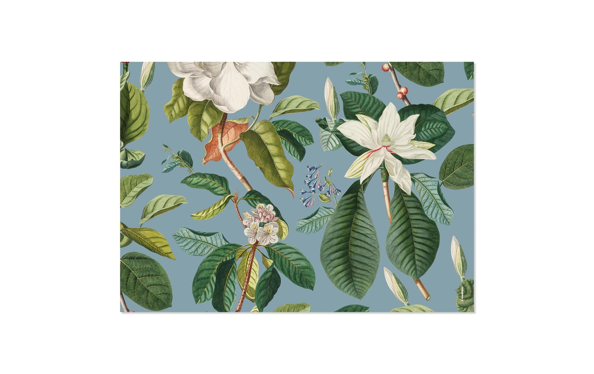 Trendform Tischset Magnolia, Papier, Rechteckig – 42 × 29,7 cm, Mehrfarbig – FSC – 48 Stk.