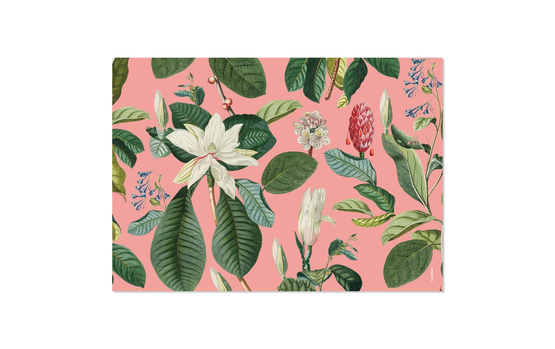 Trendform Tischset Magnolia, Papier, Rechteckig – 42 × 29,7 cm, Mehrfarbig – FSC – 48 Stk.