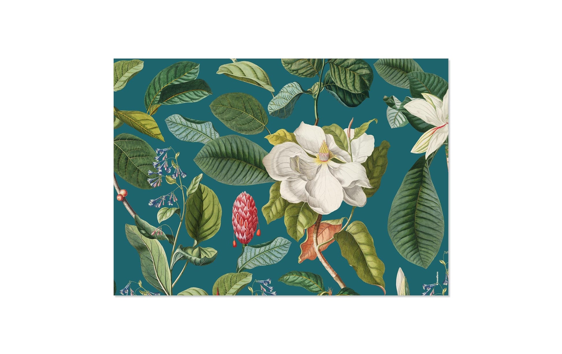 Trendform Tischset Magnolia, Papier, Rechteckig – 42 × 29,7 cm, Mehrfarbig – FSC – 48 Stk.
