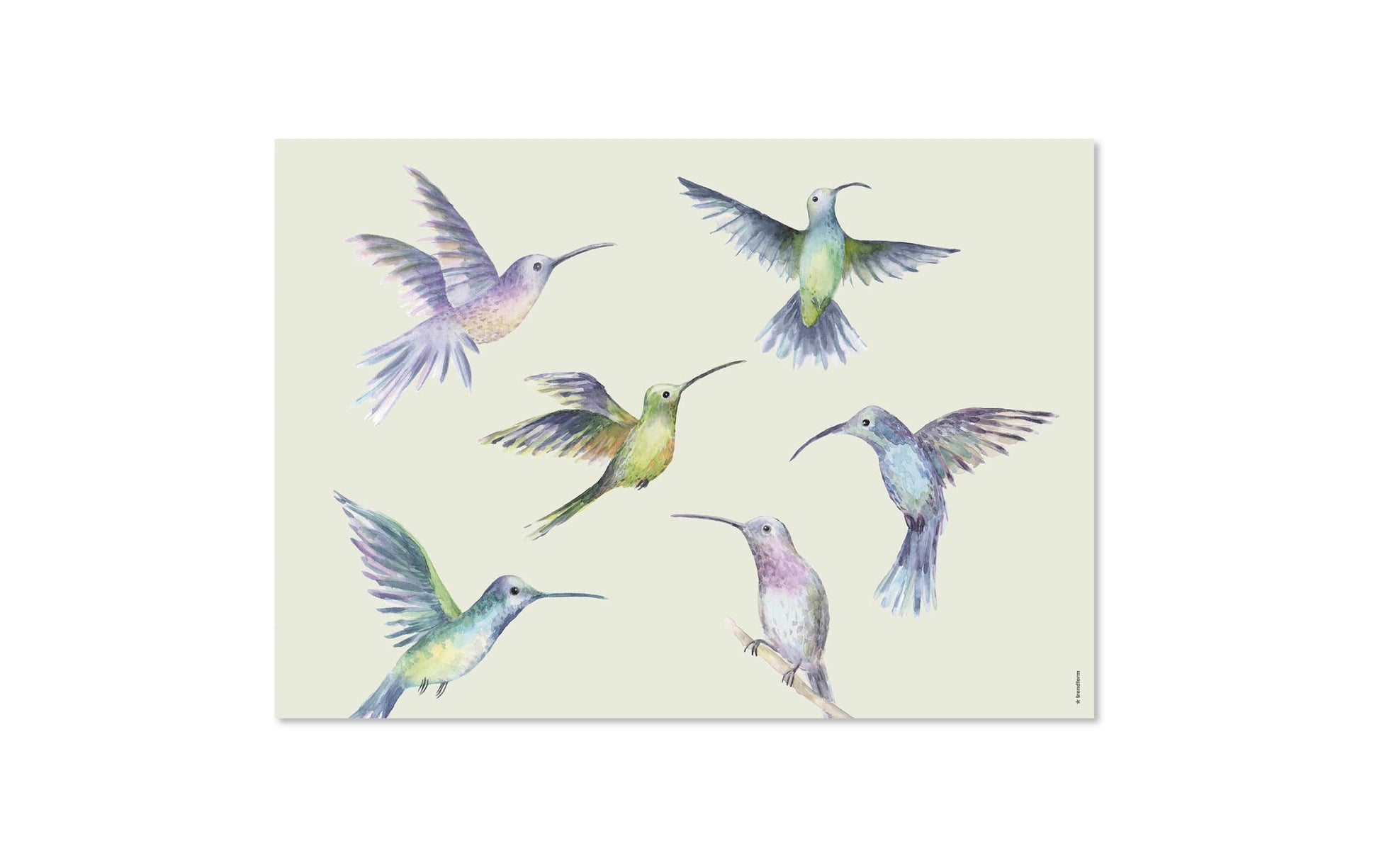 Trendform Tischset Fly Away – Papier, Schmetterlingsmotiv, 42 × 29,7 cm – 48 Stk.