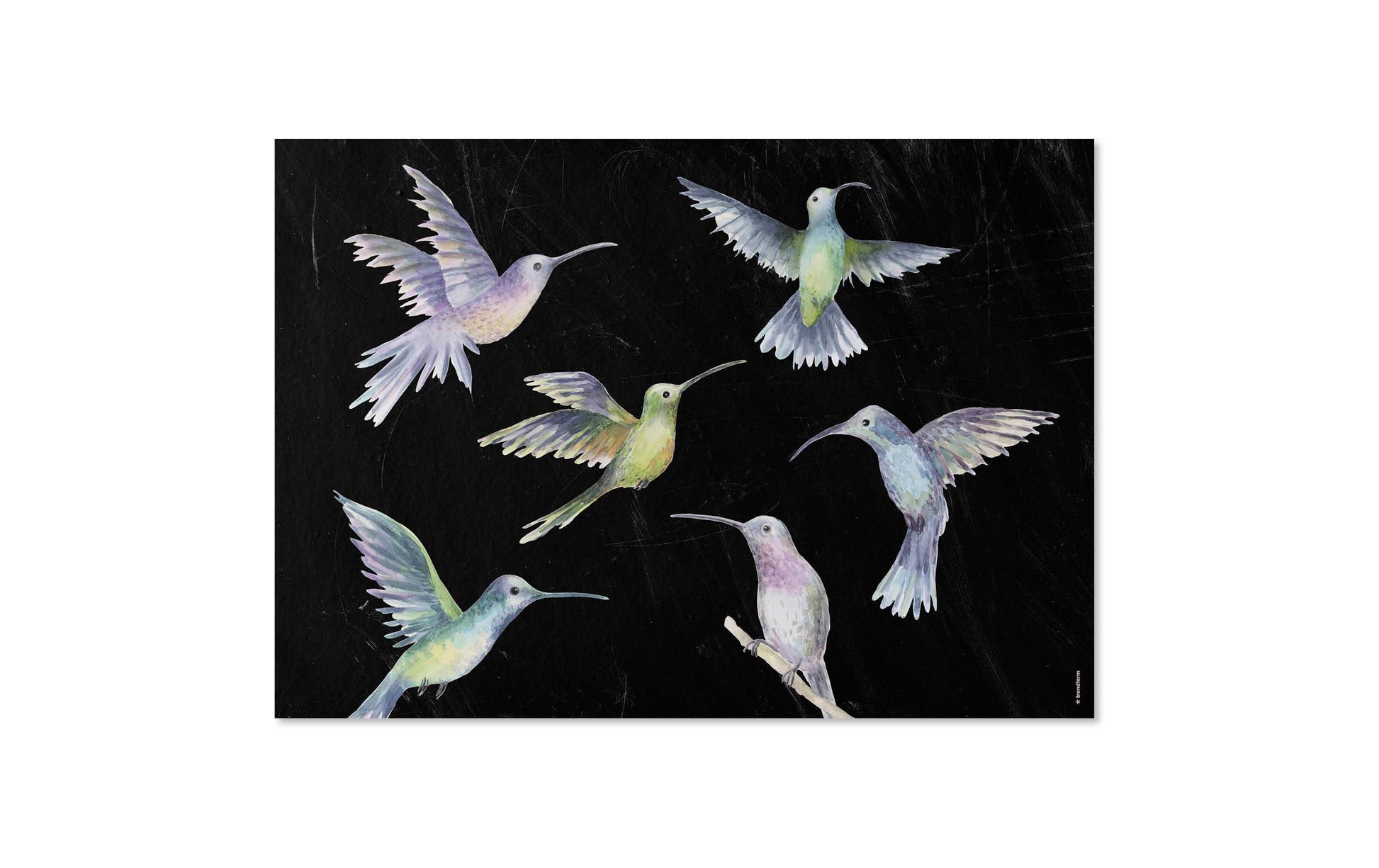 Trendform Tischset Fly Away – Papier, Schmetterlingsmotiv, 42 × 29,7 cm – 48 Stk.