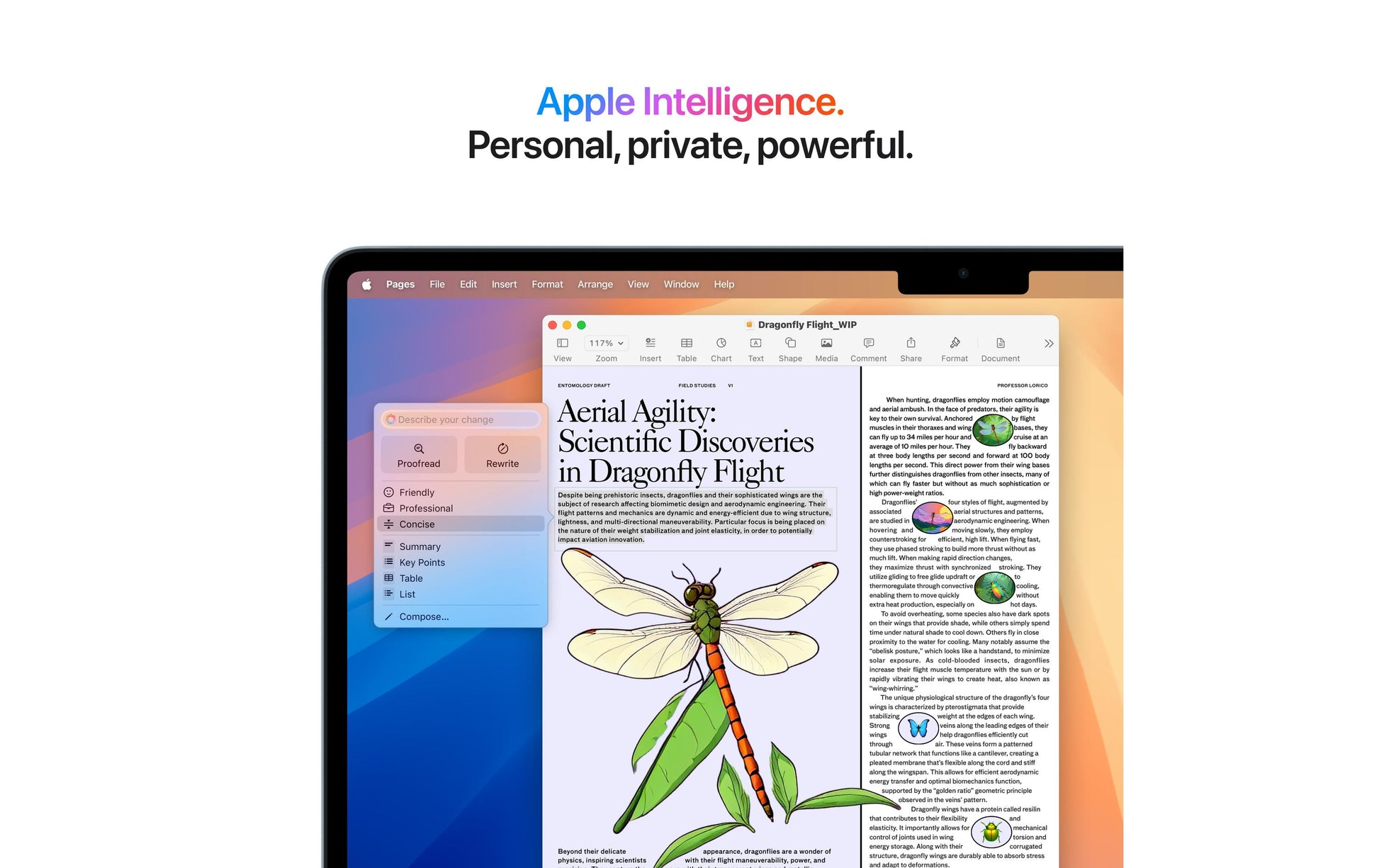 Apple MacBook Air 15,3" (M4) – macOS Sequoia