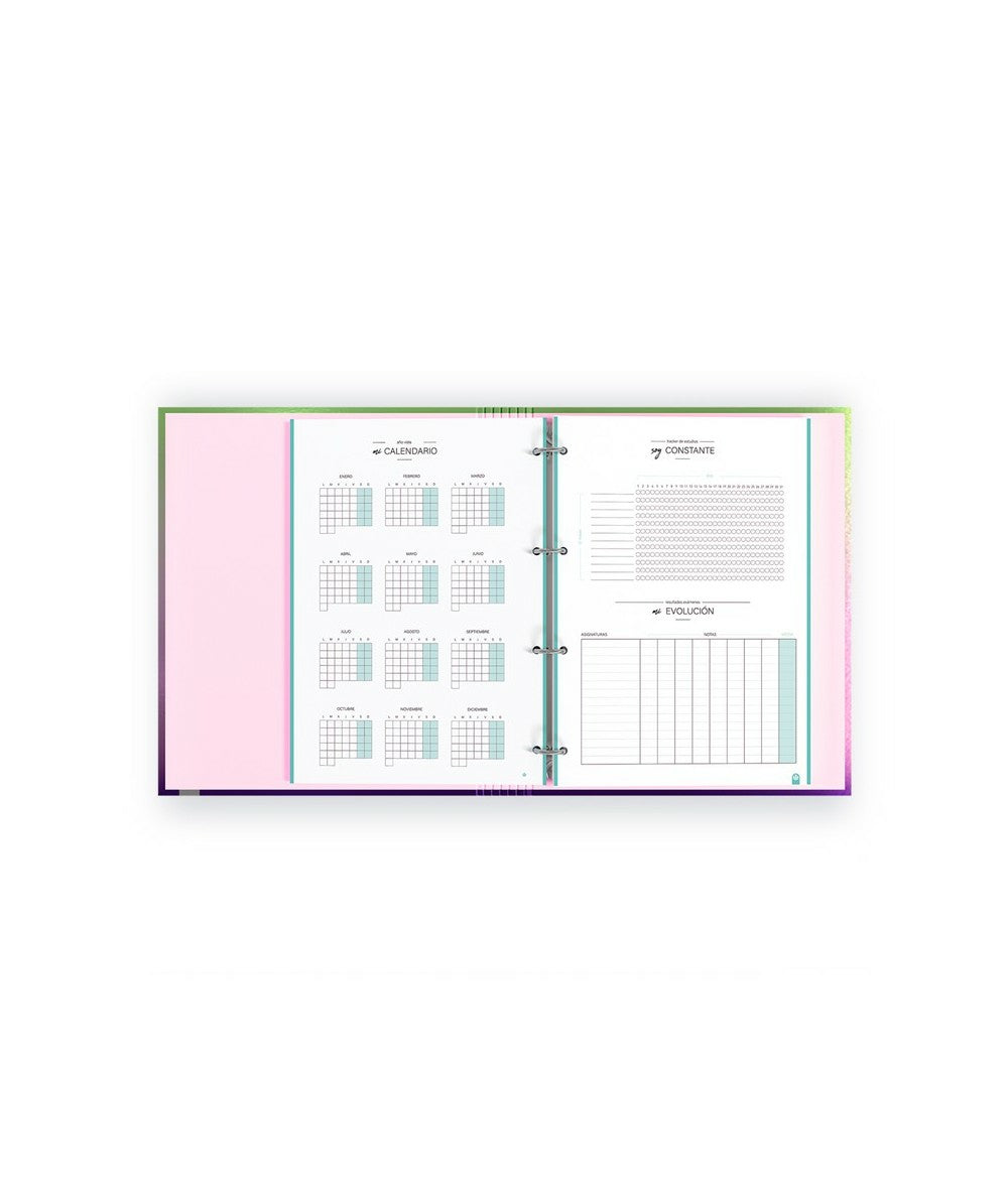 Carchivo Notizbuch-Einlagen A4, 5 mm kariert, 4-fach gelocht, 90 g/m², für Carpeblock 360 – 100 Blatt