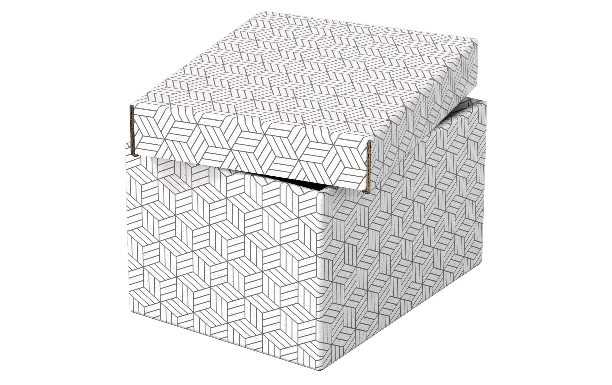 Leitz Aufbewahrungsbox 4,7 l – Karton – Weiss – 200 × 150 × 255 mm – 3 Stück