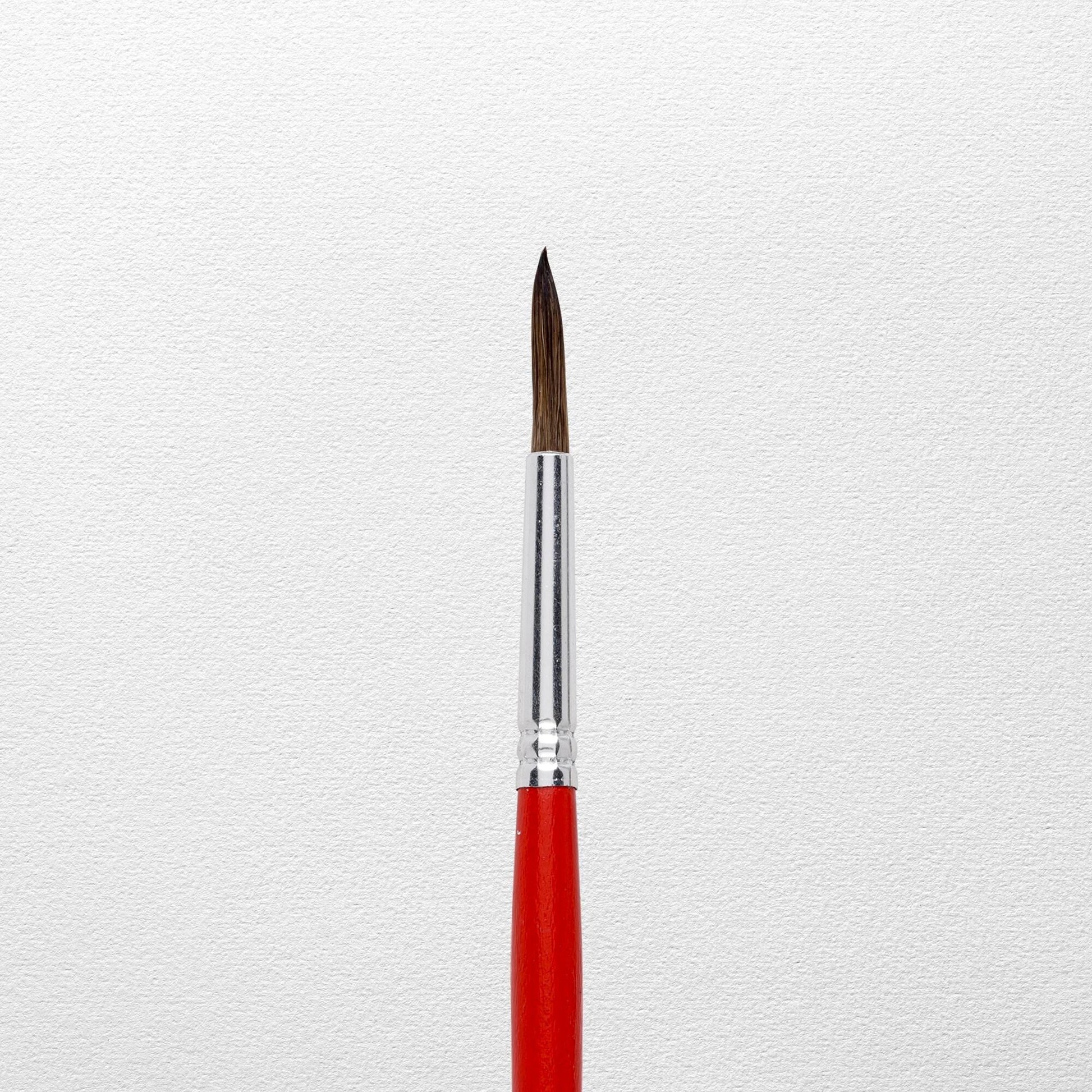 Talens Aquarellpinsel – Rot, Grösse 8, 12er-Pack, Set
