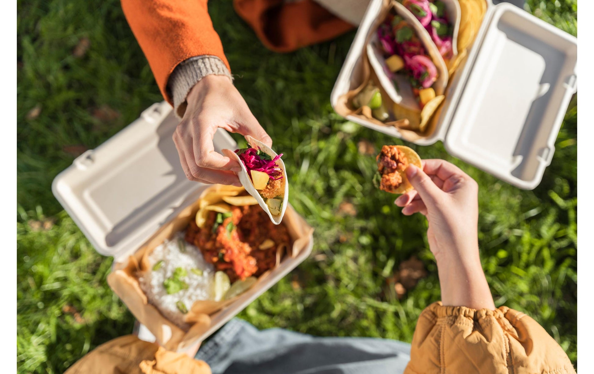 BioPak Take-away-Box, Bagasse (Zuckerrohr) – 850 ml, 237 × 155 × 45 mm – braun