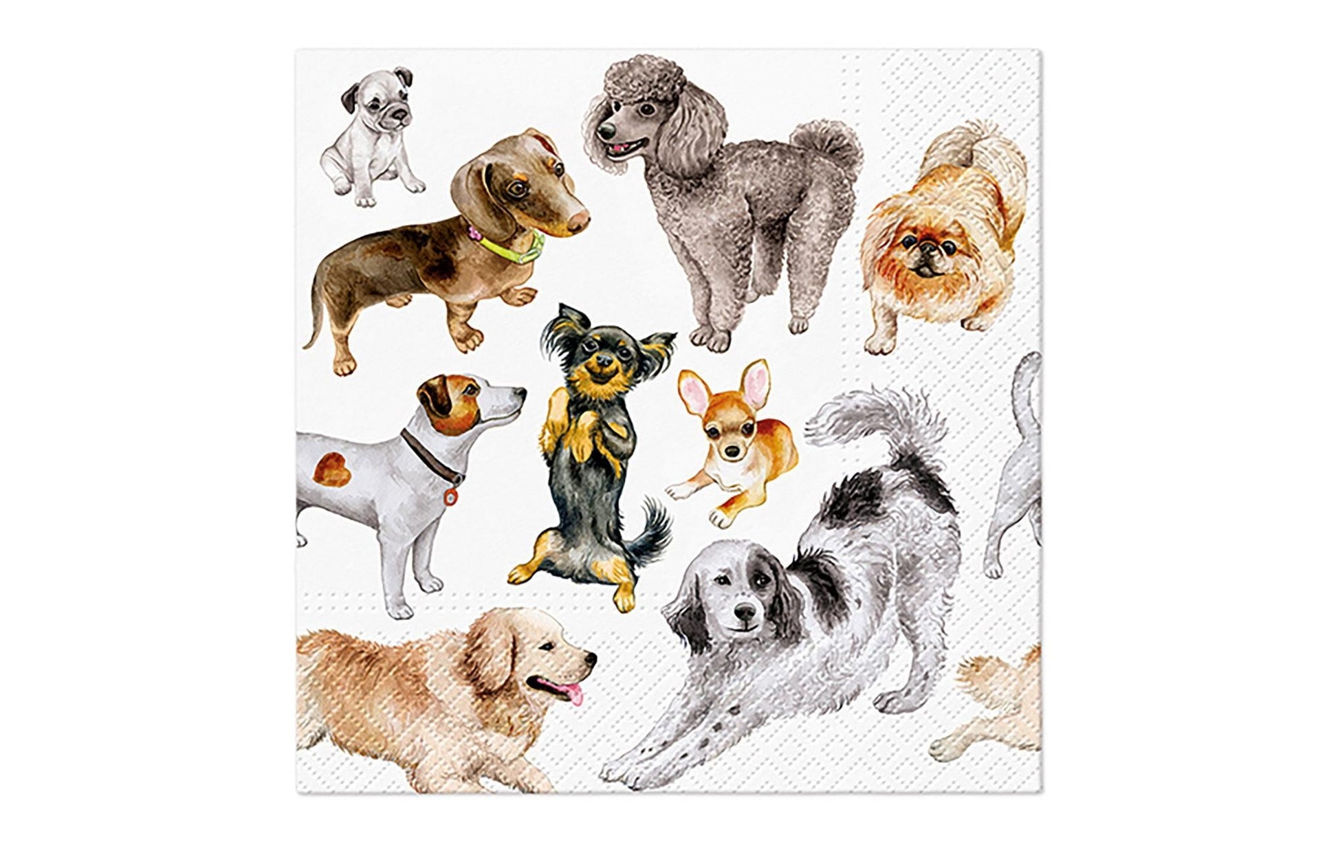 G. Wurm Servietten Hund – 33 × 33 cm, 3-lagig – 20 Stück