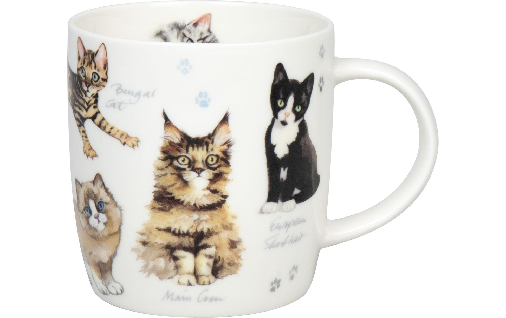 Könitz Porzellan Könitz Becher Natures Diversity-Katzen – 400 ml, Ø 8,7 cm, H 9,2 cm, Knochenporzellan, Mehrfarbig