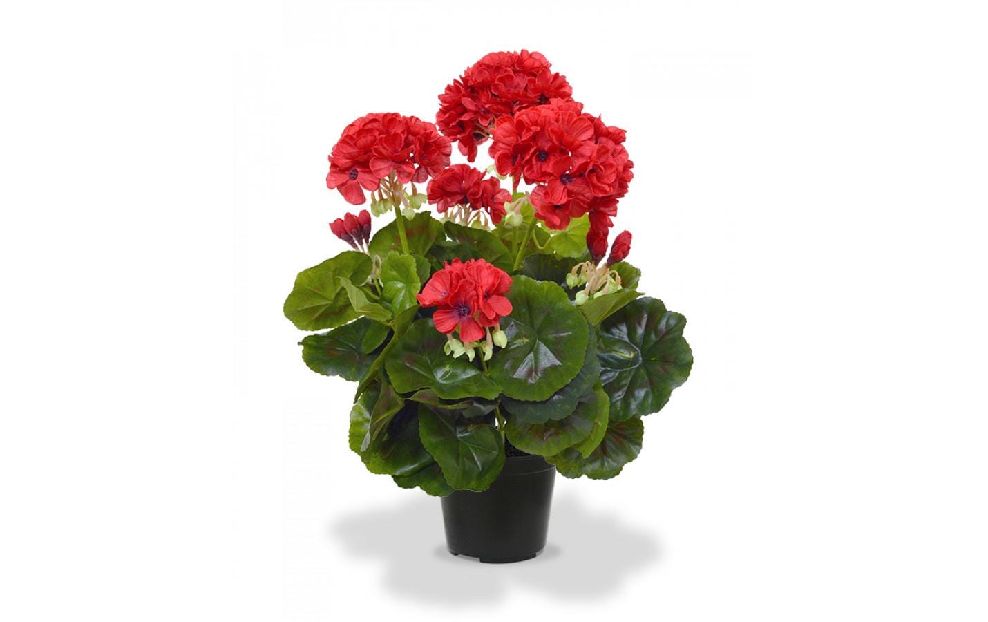 Botanic-Haus Geranie – Künstliche Topfpflanze – 40 cm, Ø 25 cm – Kunststoff, Rot