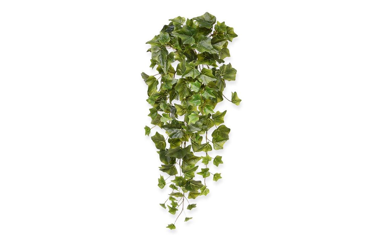Botanic-Haus Efeu Hängepflanze – Ø 25 × 65 cm – Kunststoff, Grün, 6-teilig