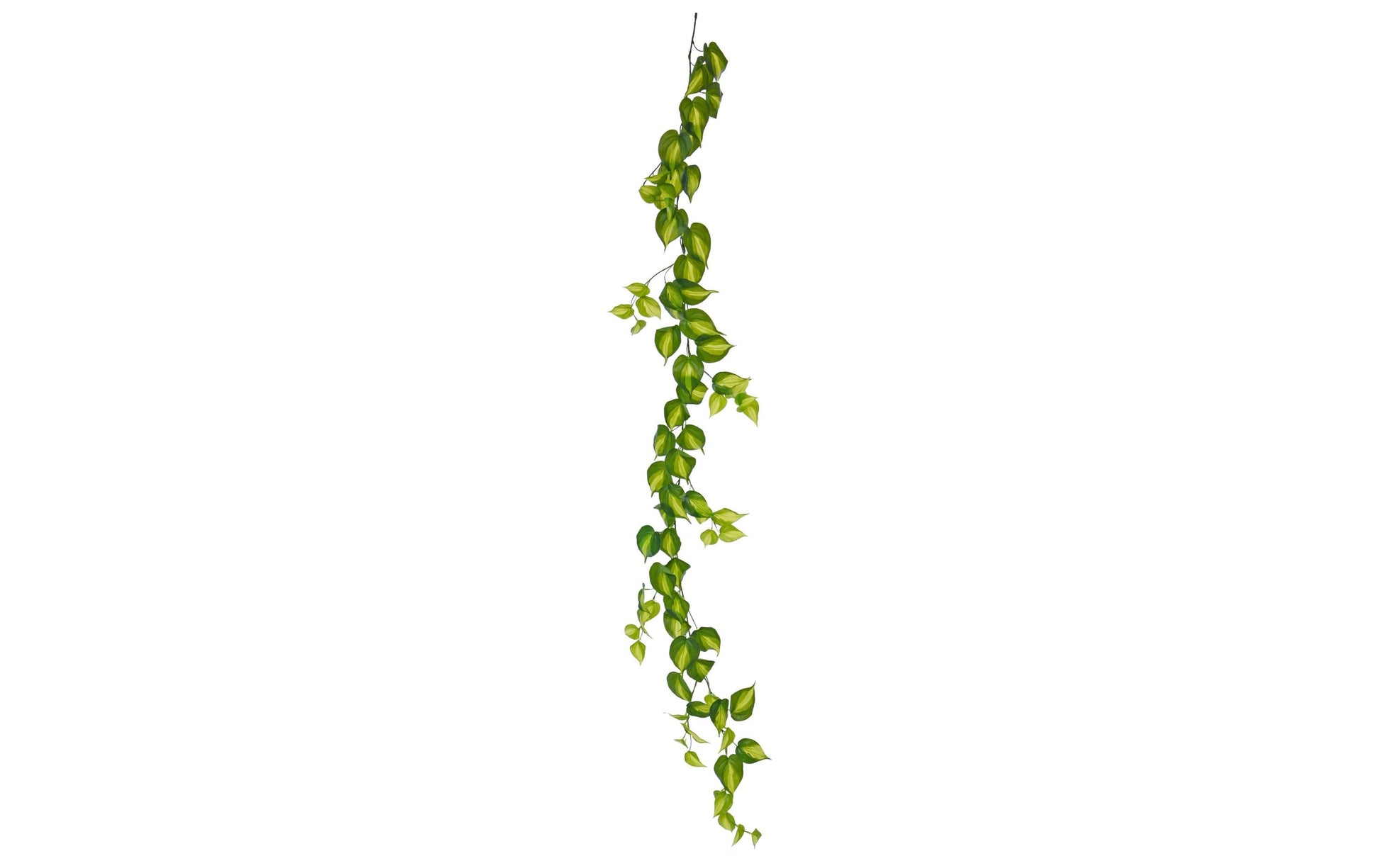 Botanic-Haus Künstliche Topfpflanze – Ø 15 × 180 cm – Kunststoff, Grün
