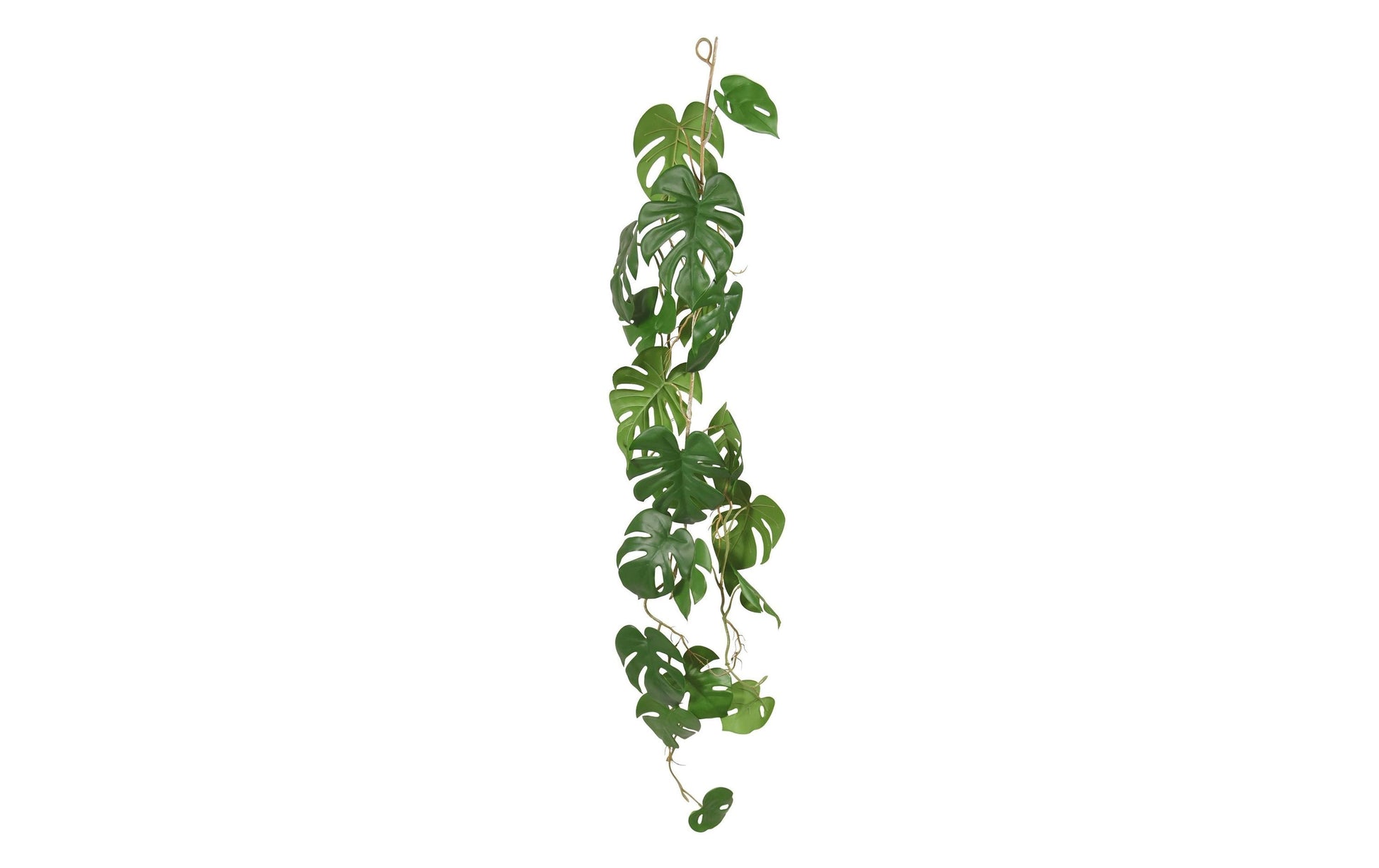 Botanic-Haus Monstera Girlande – Ø 200 × 110 cm – Kunststoff, Grün – 12er-Pack