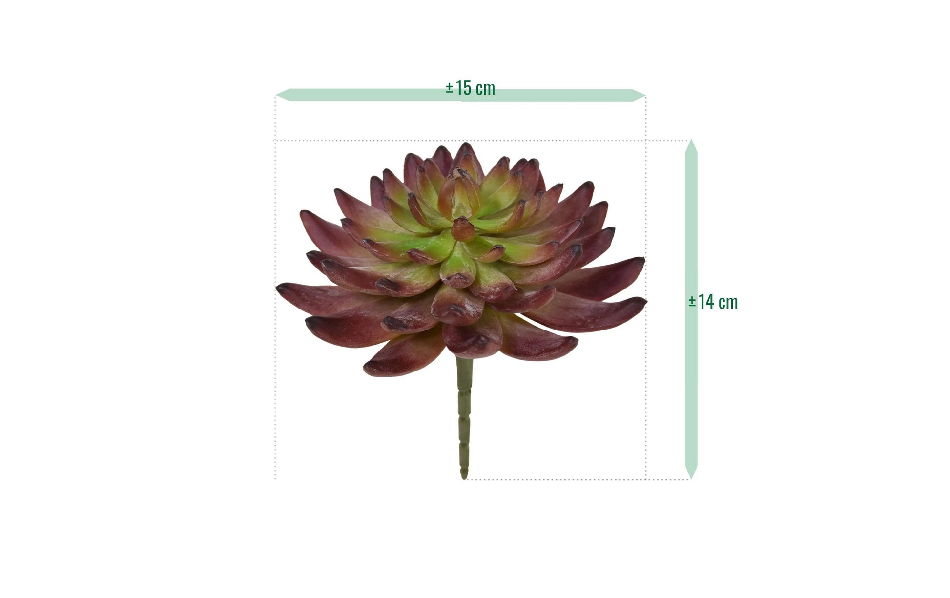 Botanic-Haus Echeveria Kunstpflanze – Ø 15 × 14 cm – Kunststoff, Grün – 8er-Pack