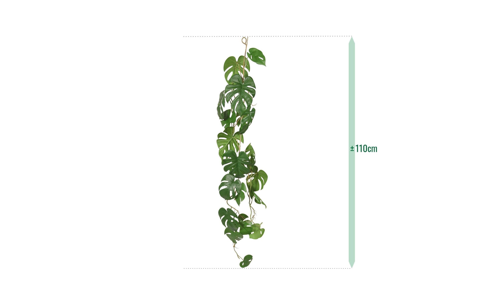 Botanic-Haus Monstera Girlande – Ø 200 × 110 cm – Kunststoff, Grün – 12er-Pack