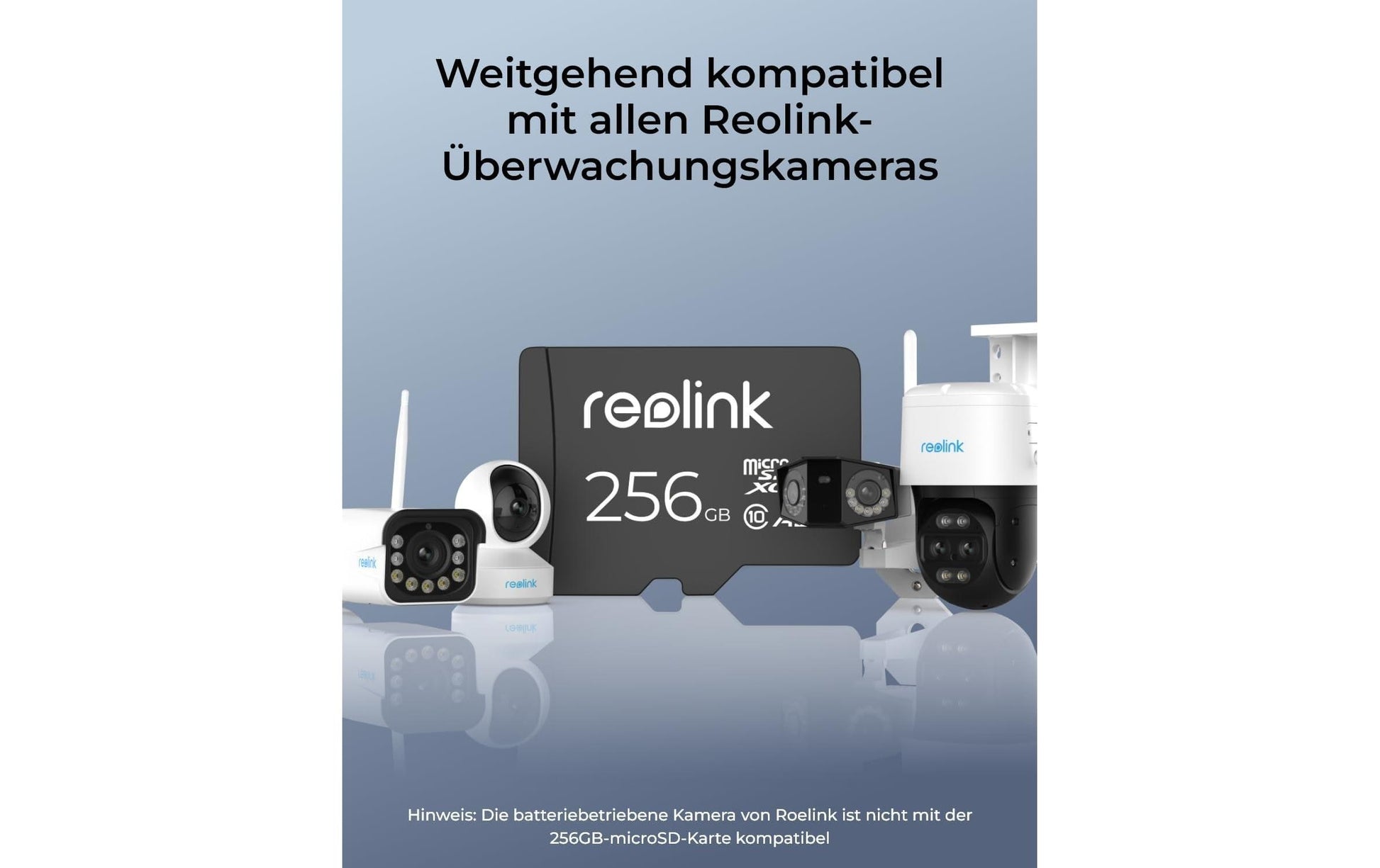 Reolink zubehör Reolink microSDXC 256 GB – UHS-I, 100/30 MB/s, ohne Adapter