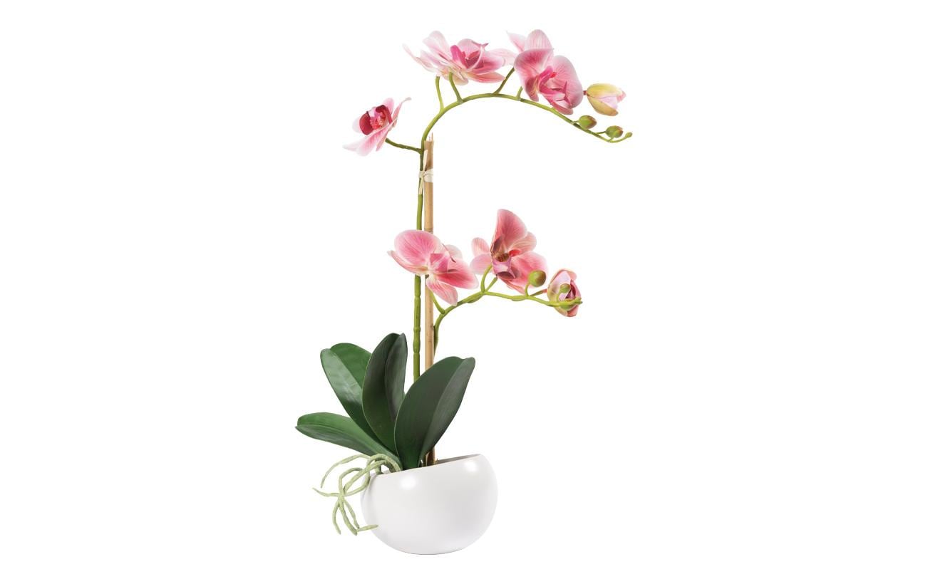 Dekomat AG Dekomat Orchidee im Topf – 48 cm – Kunststoff & Keramik & Seide, mehrfarbig