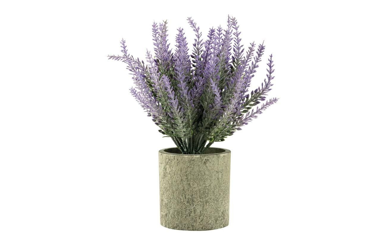 Dekomat AG Künstliche Topfpflanze – Lavendel, 22 cm – Kunststoff, mehrfarbig