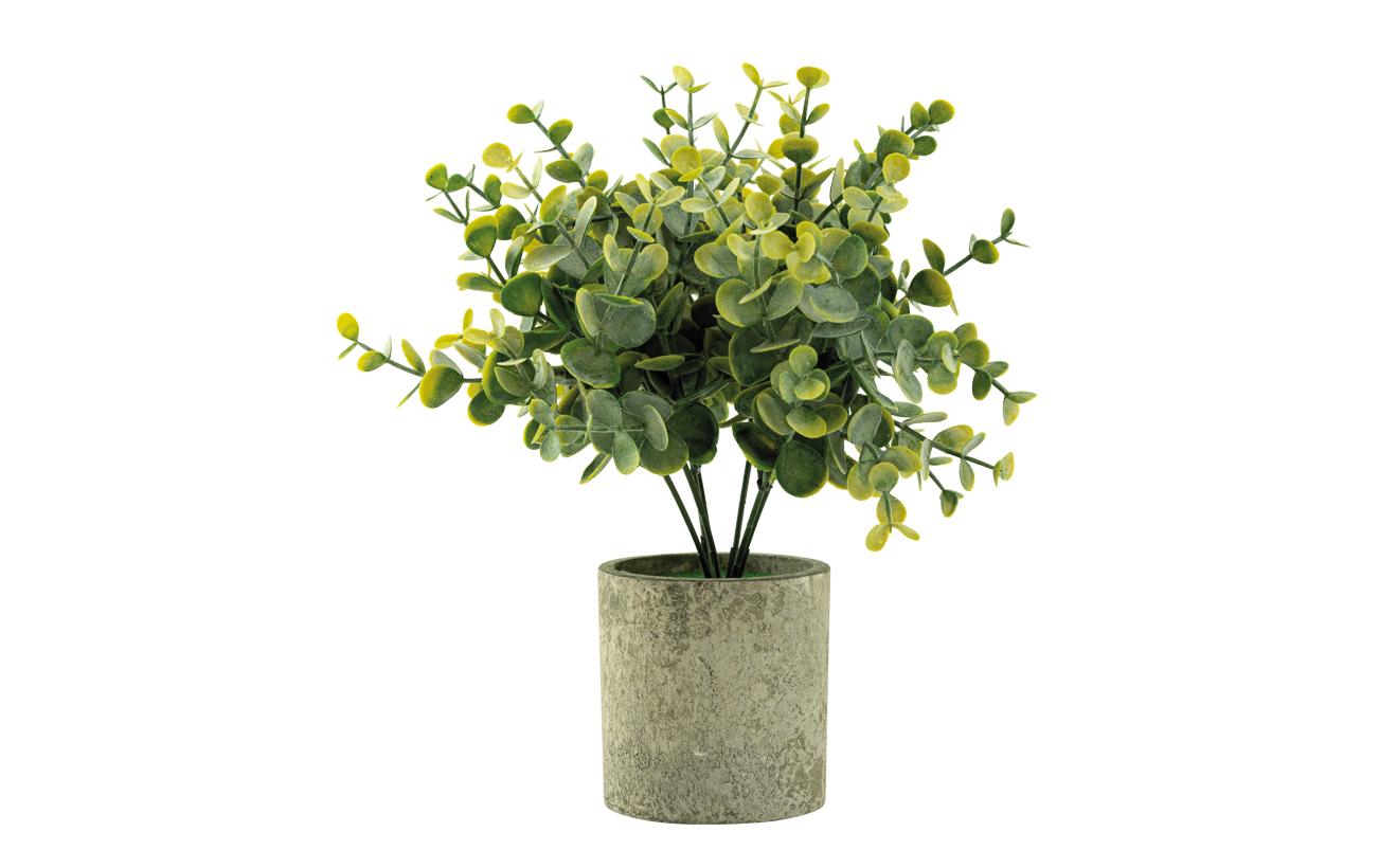 Dekomat AG Künstliche Topfpflanze – H 24 cm, Topf Ø 7,5 cm – Kunststoff, Grün