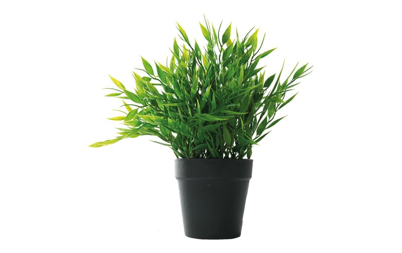 Dekomat AG Künstliche Topfpflanze – Höhe 24 cm – Kunststoff, Grün