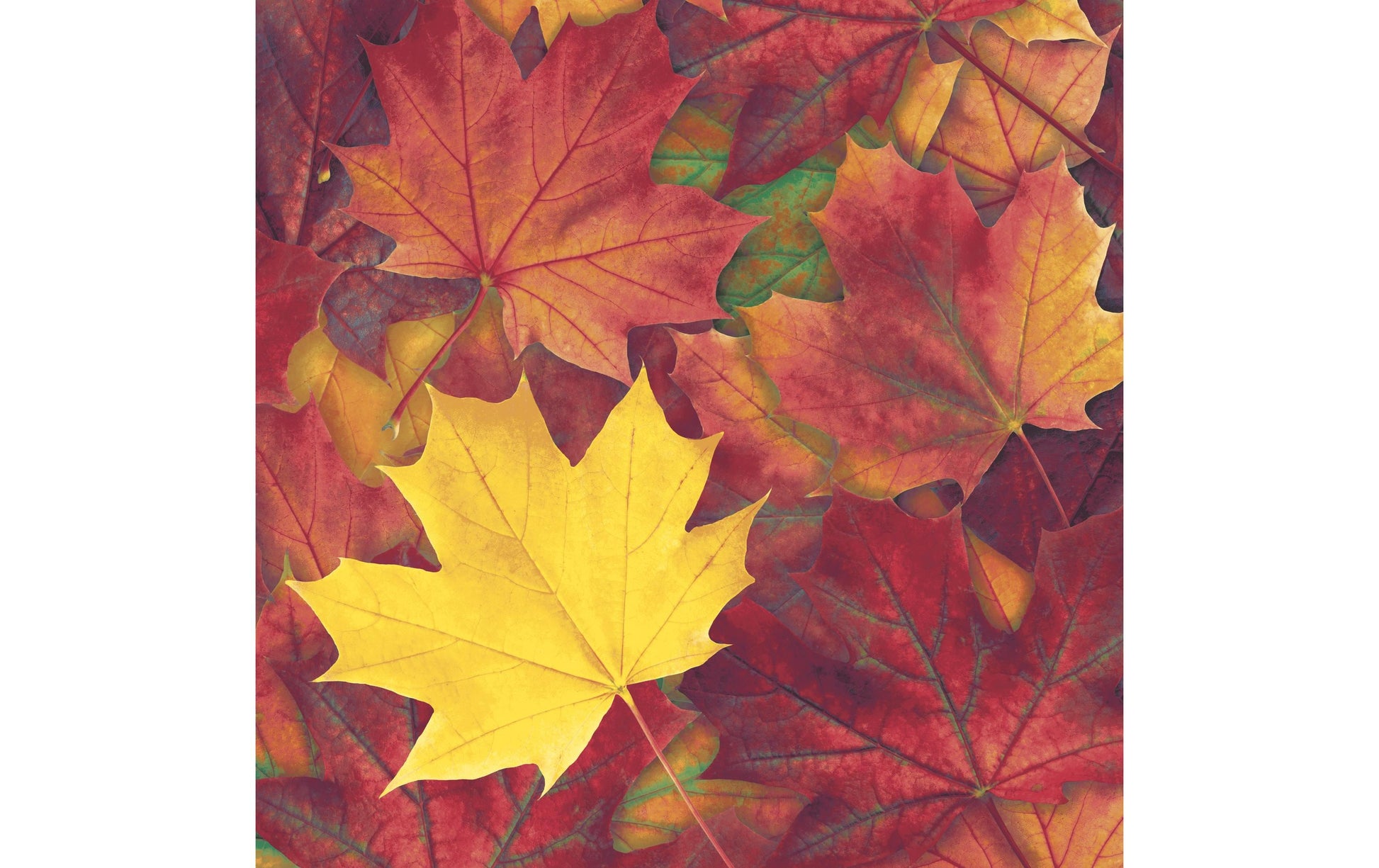 Paper + Design Servietten Herbstblätter – mehrfarbig – 33 × 33 cm, 3-lagig – 20 Stück